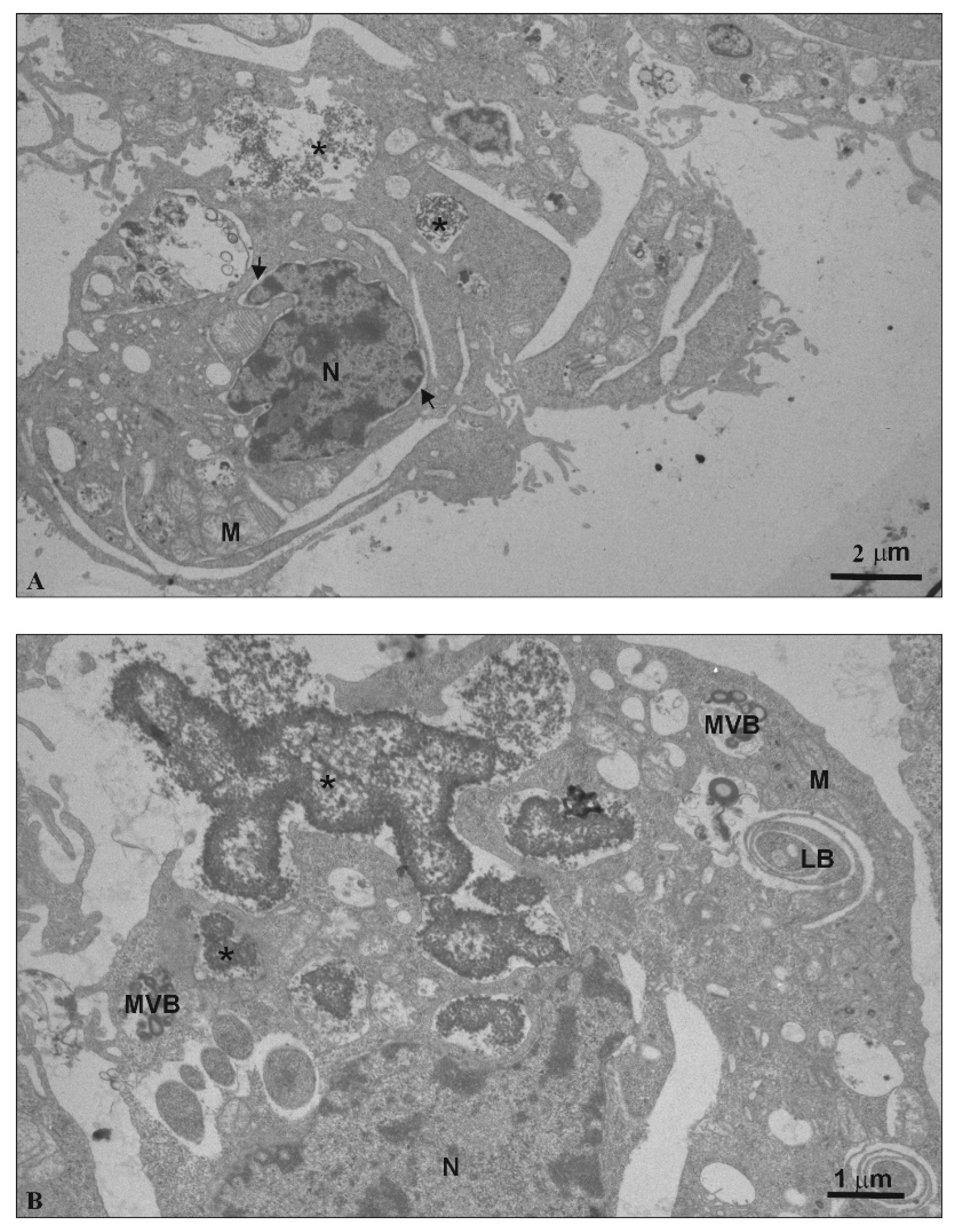 Biomolecules 10 00427 g010 Biomolecules 10 00427 g010