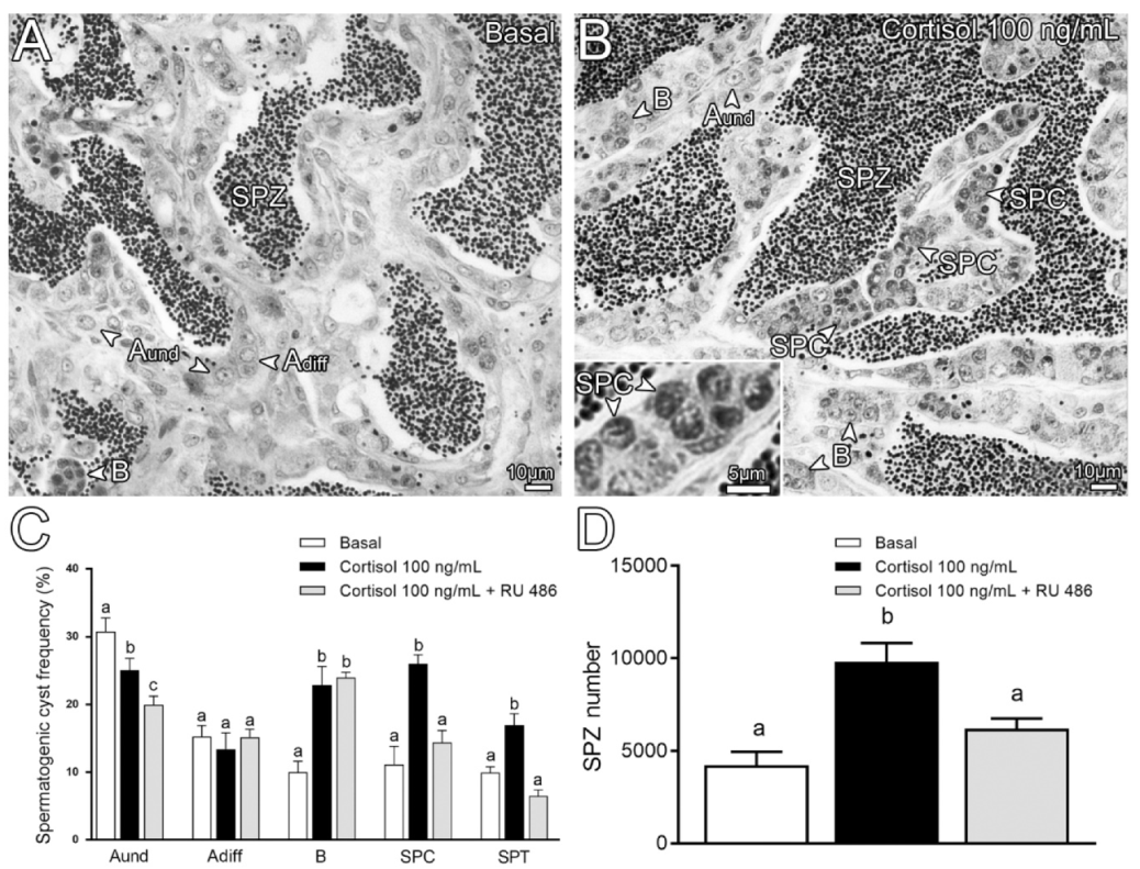 Biomolecules 10 00429 g003