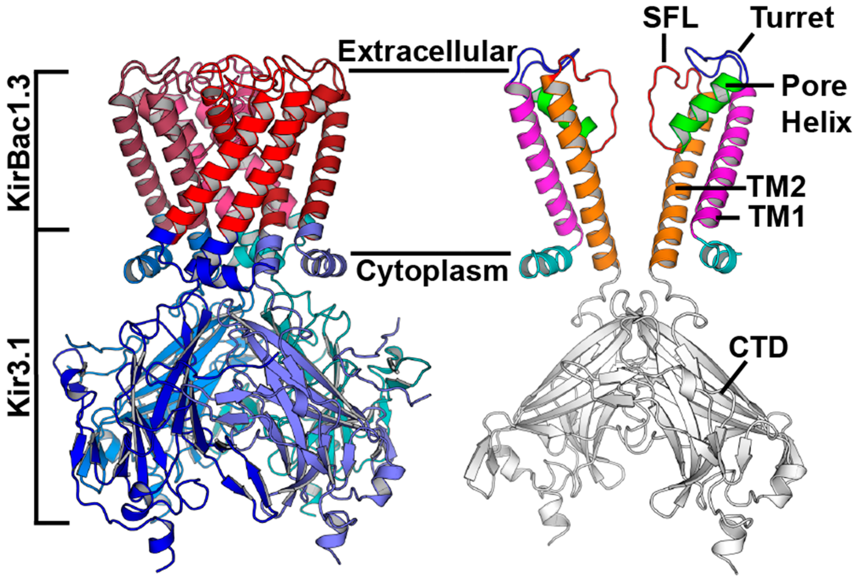 Biomolecules 10 00430 g003