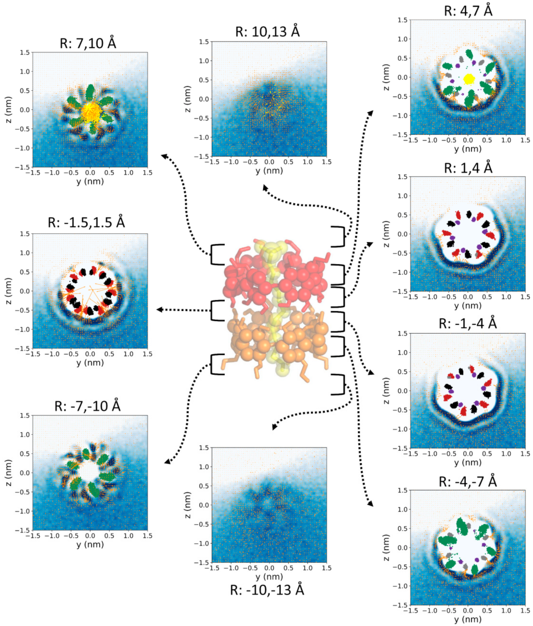 Biomolecules 10 00431 g008 Biomolecules 10 00431 g008