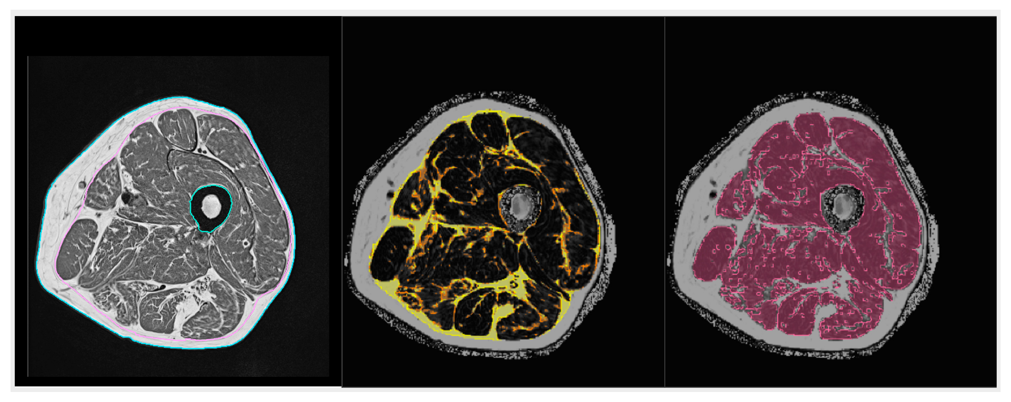 Biomolecules 10 00432 g004