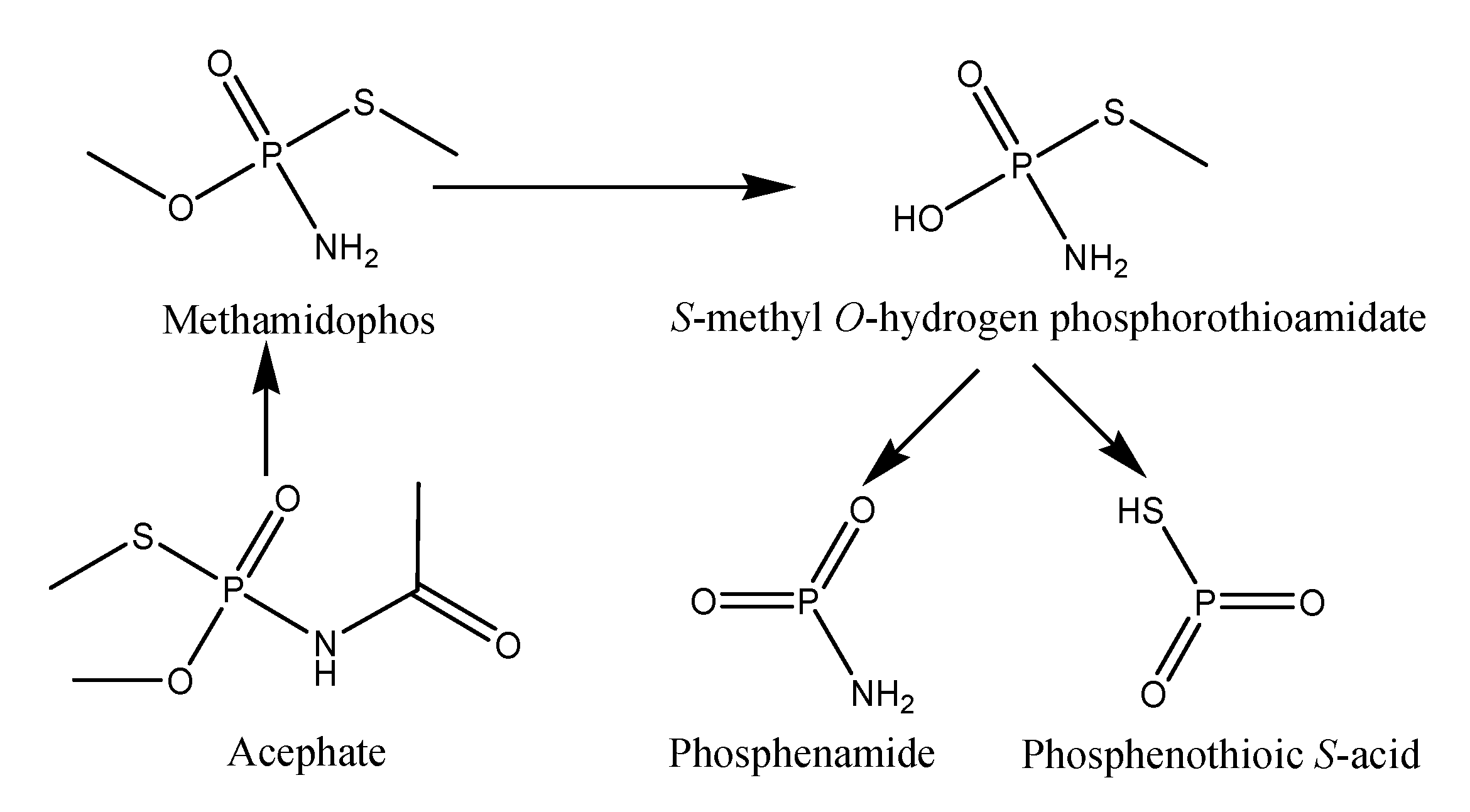 Biomolecules 10 00433 g005