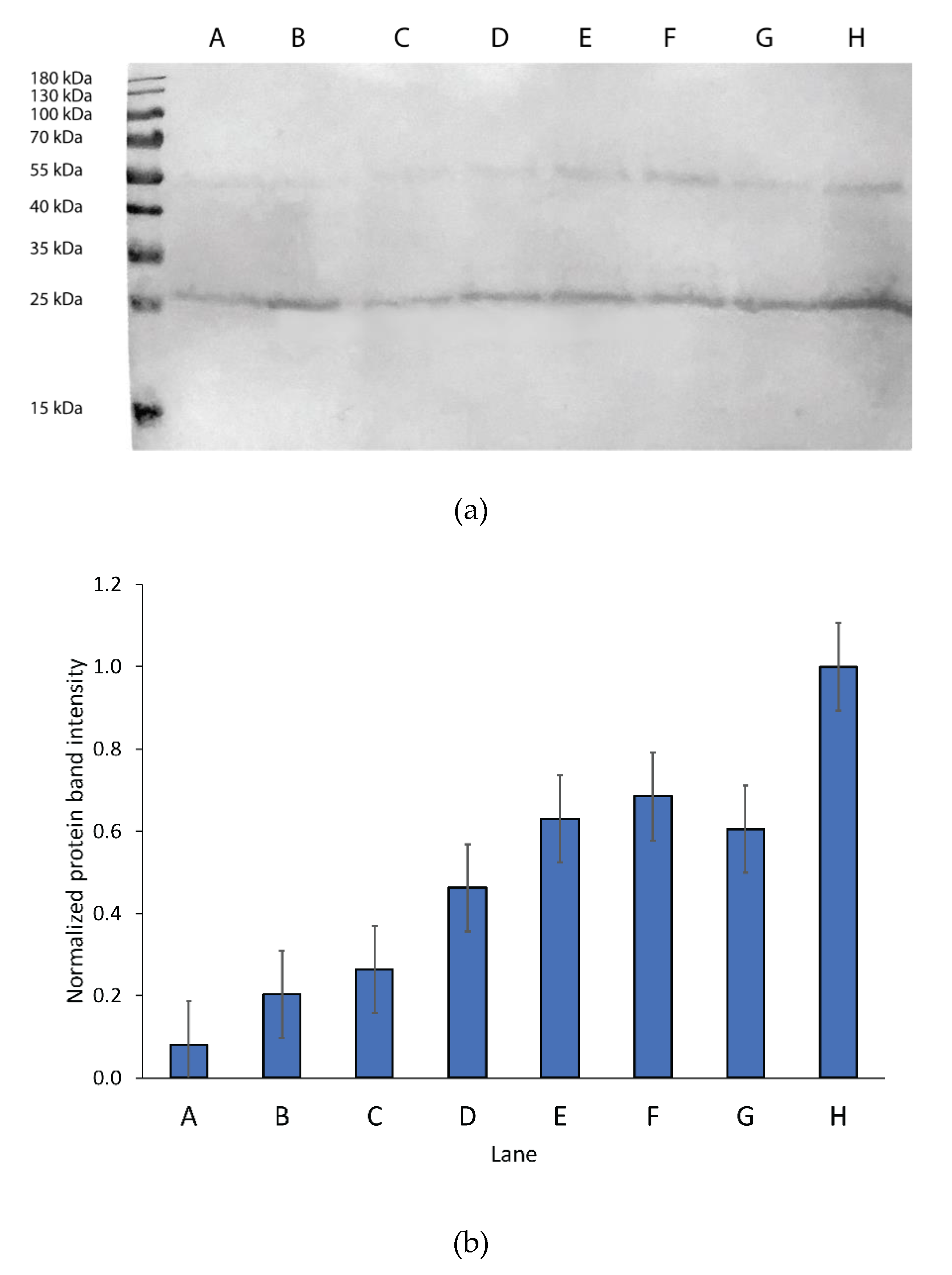 Biomolecules 10 00434 g001 Biomolecules 10 00434 g001