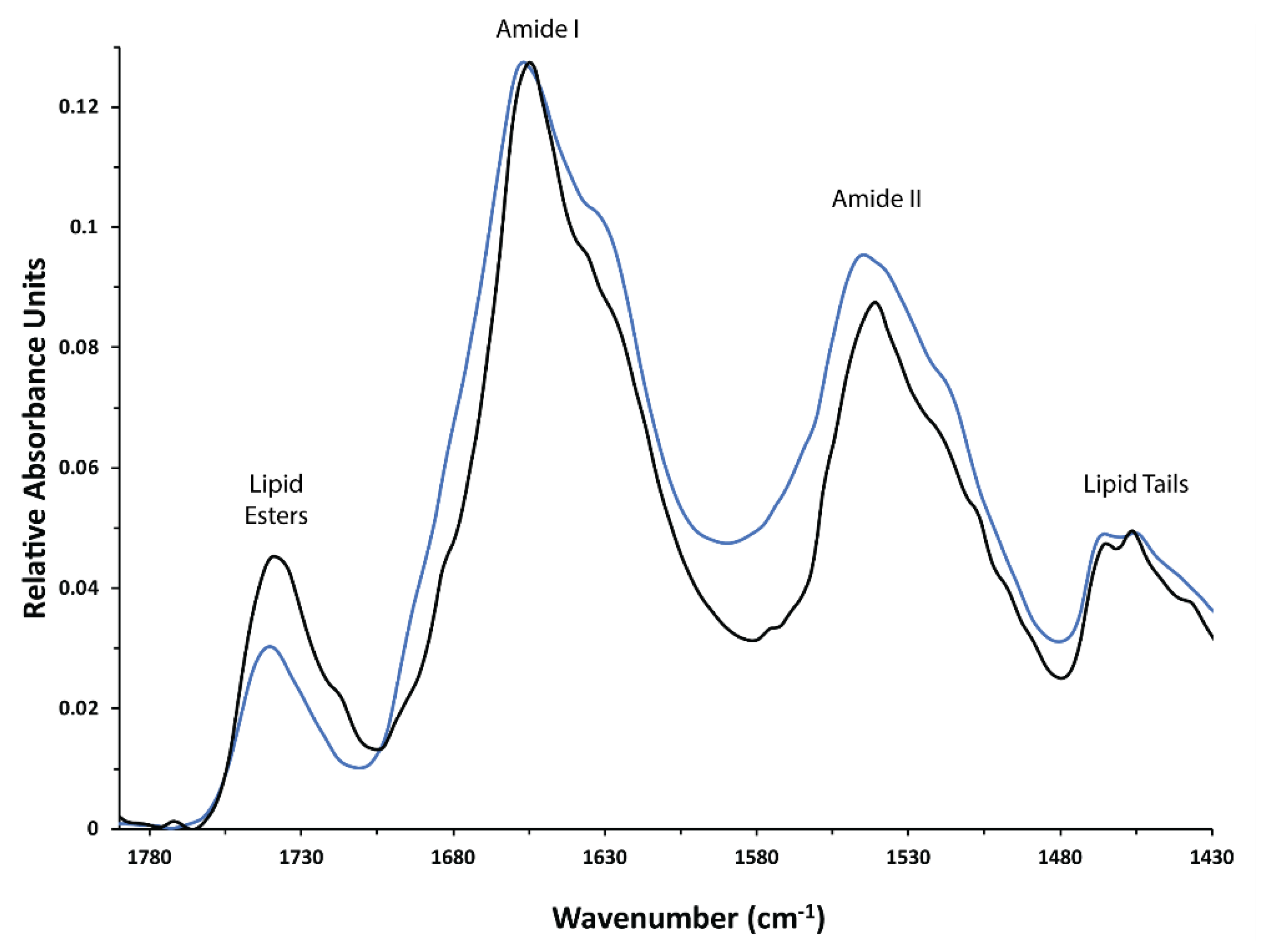 Biomolecules 10 00434 g003 Biomolecules 10 00434 g003