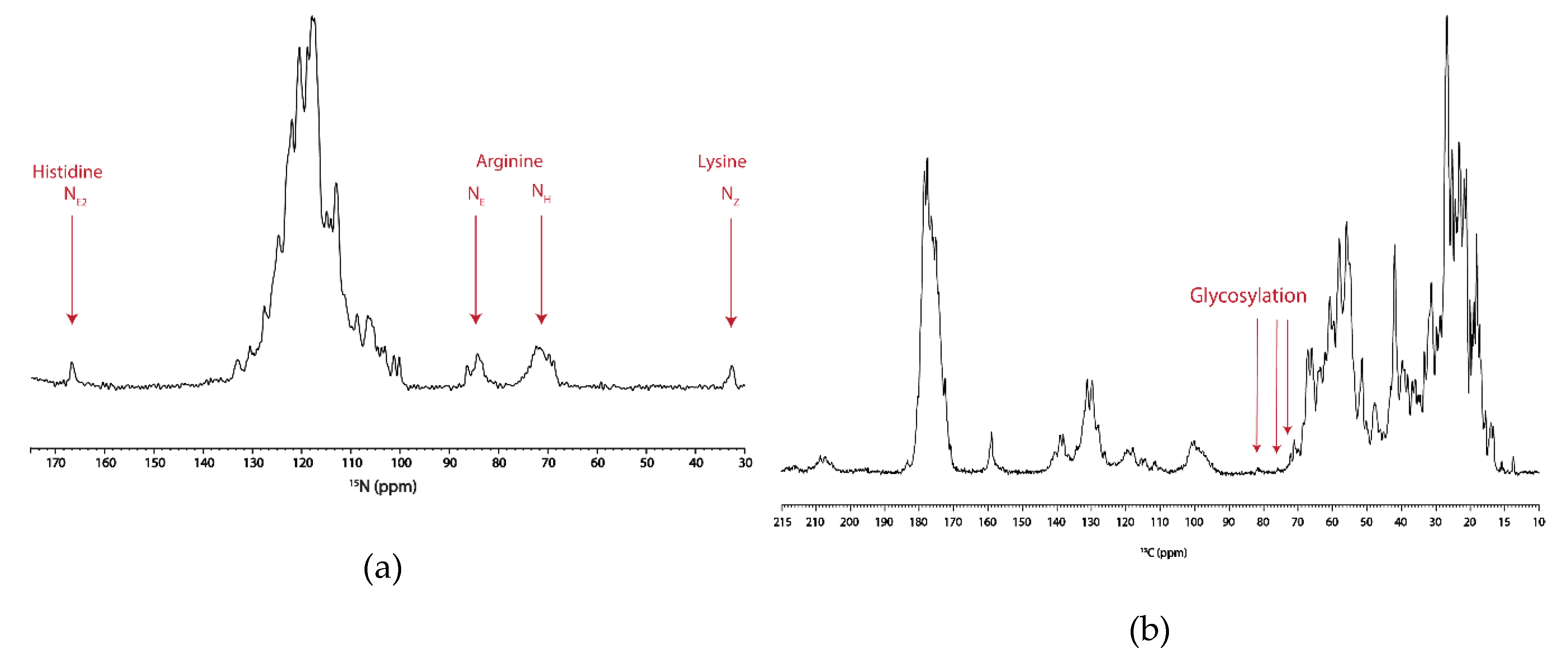 Biomolecules 10 00434 g006 Biomolecules 10 00434 g006