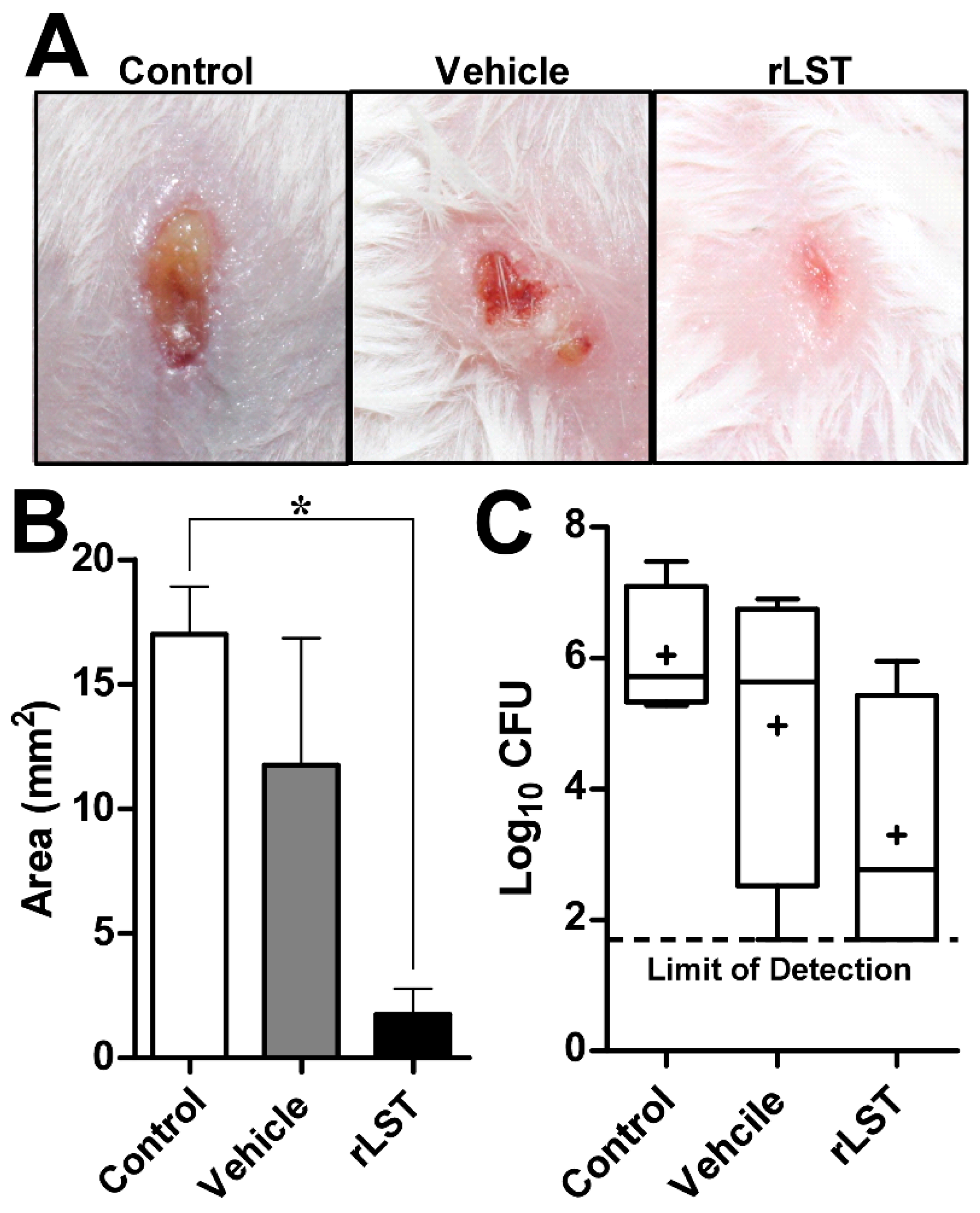 Biomolecules 10 00435 g006 Biomolecules 10 00435 g006
