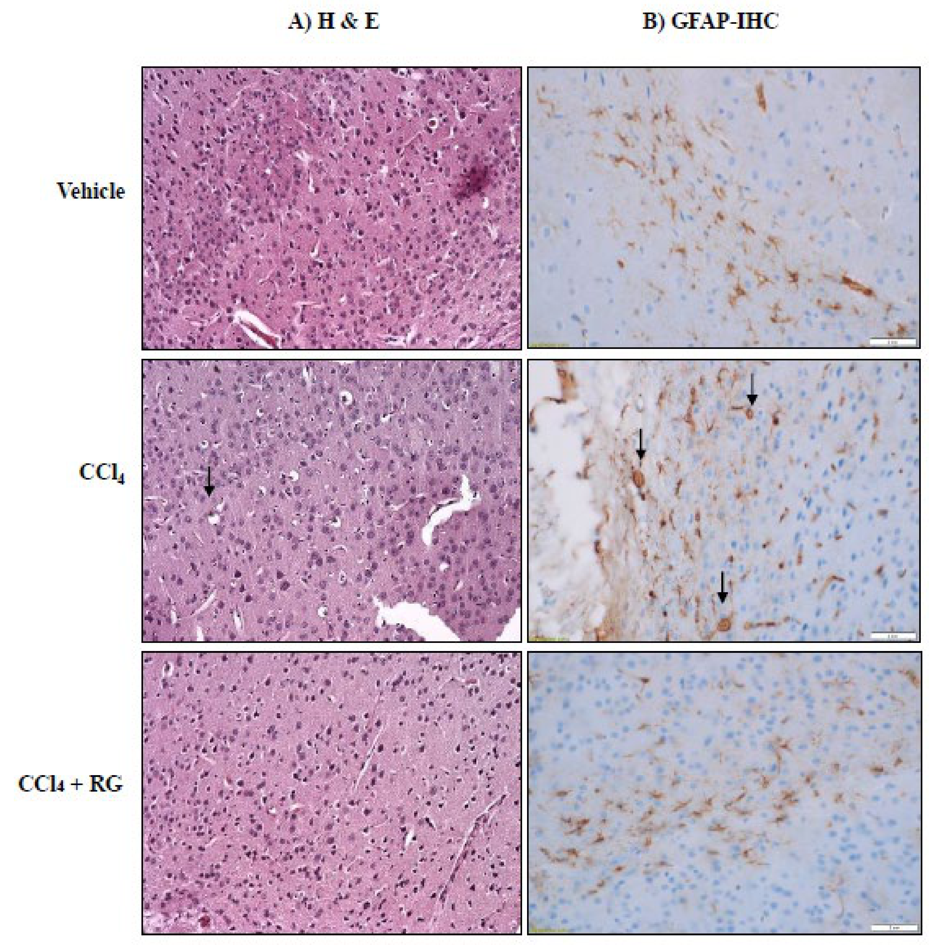 Biomolecules 10 00437 g004 Biomolecules 10 00437 g004