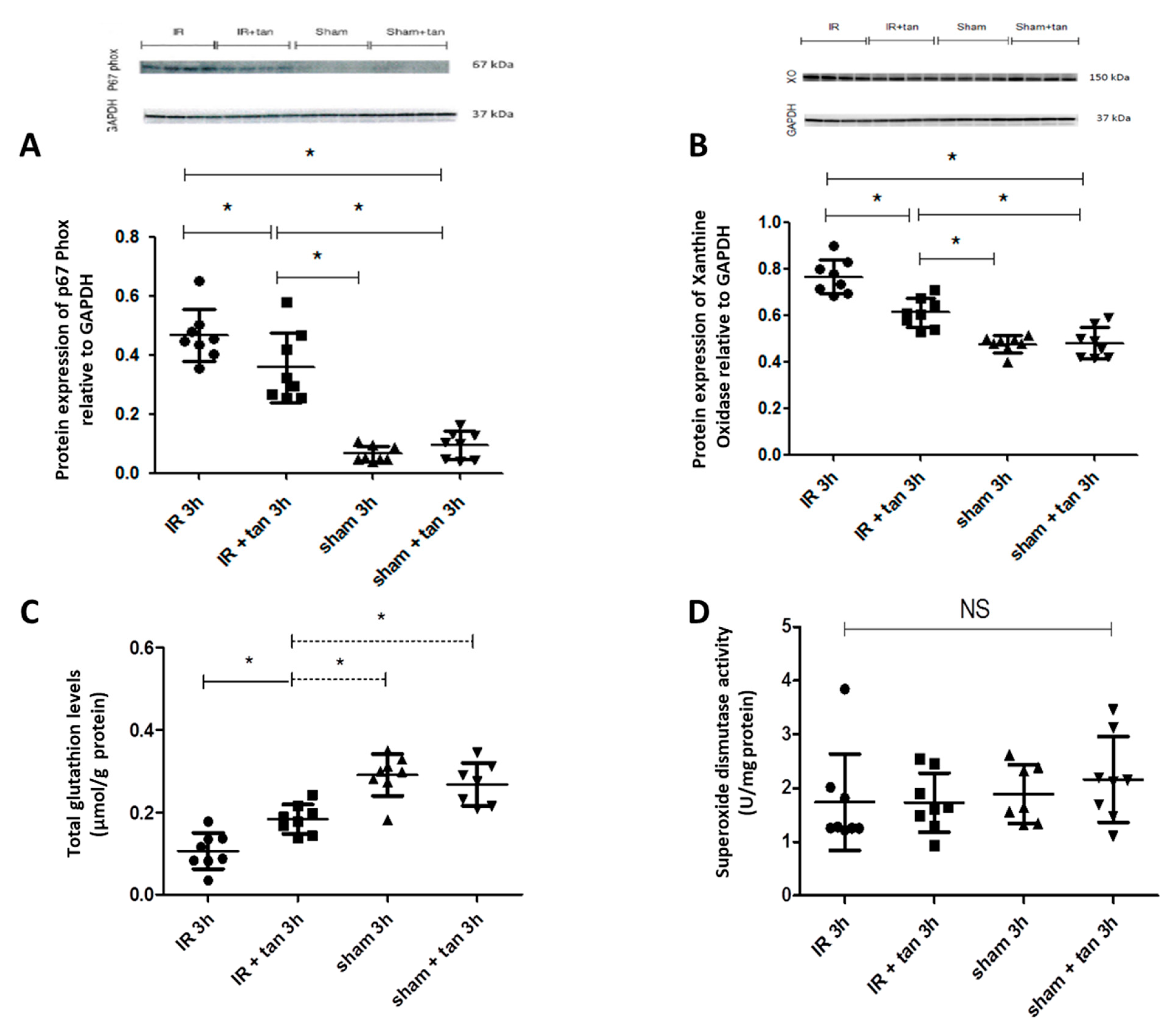 Biomolecules 10 00439 g005