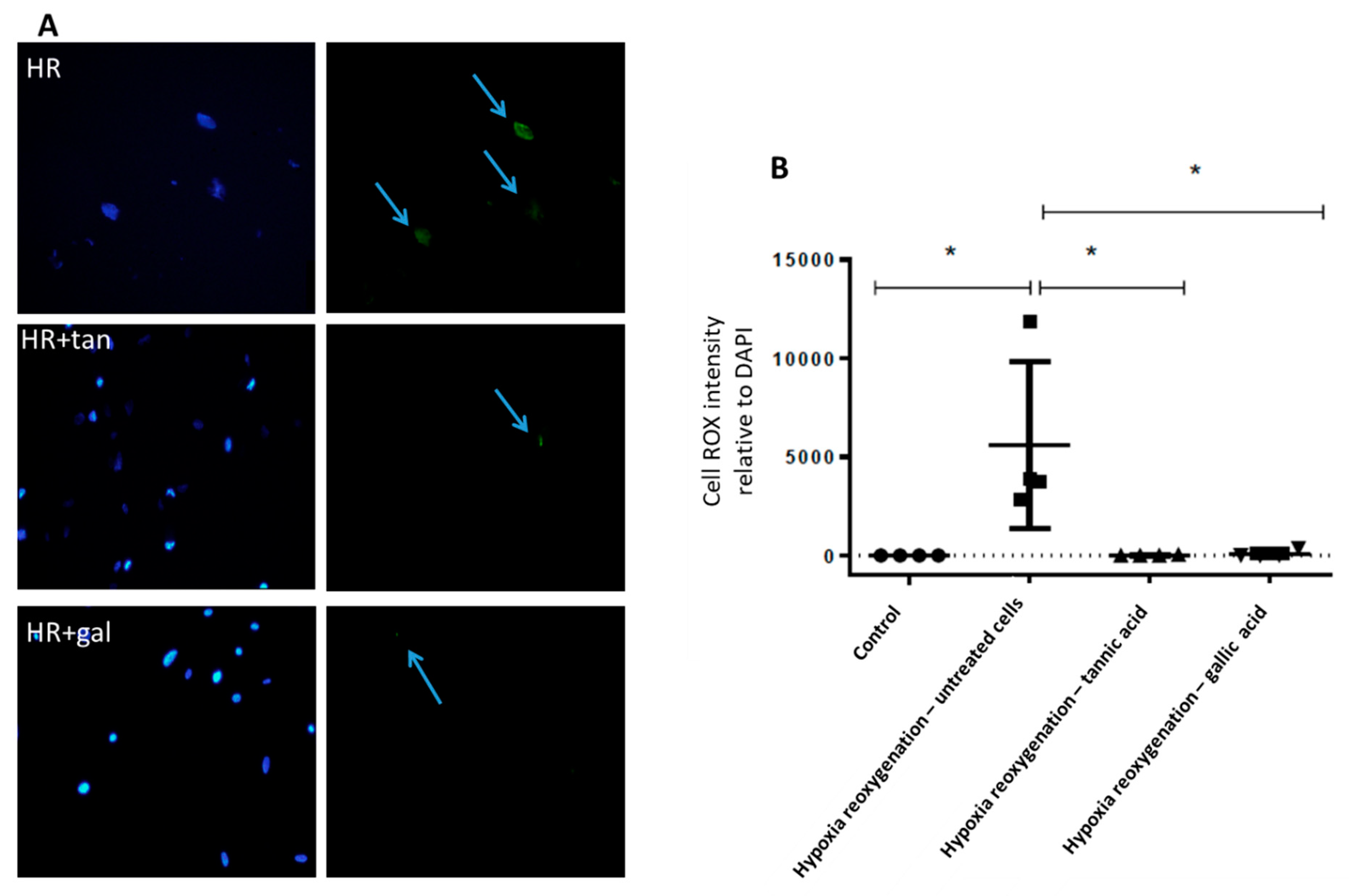 Biomolecules 10 00439 g009