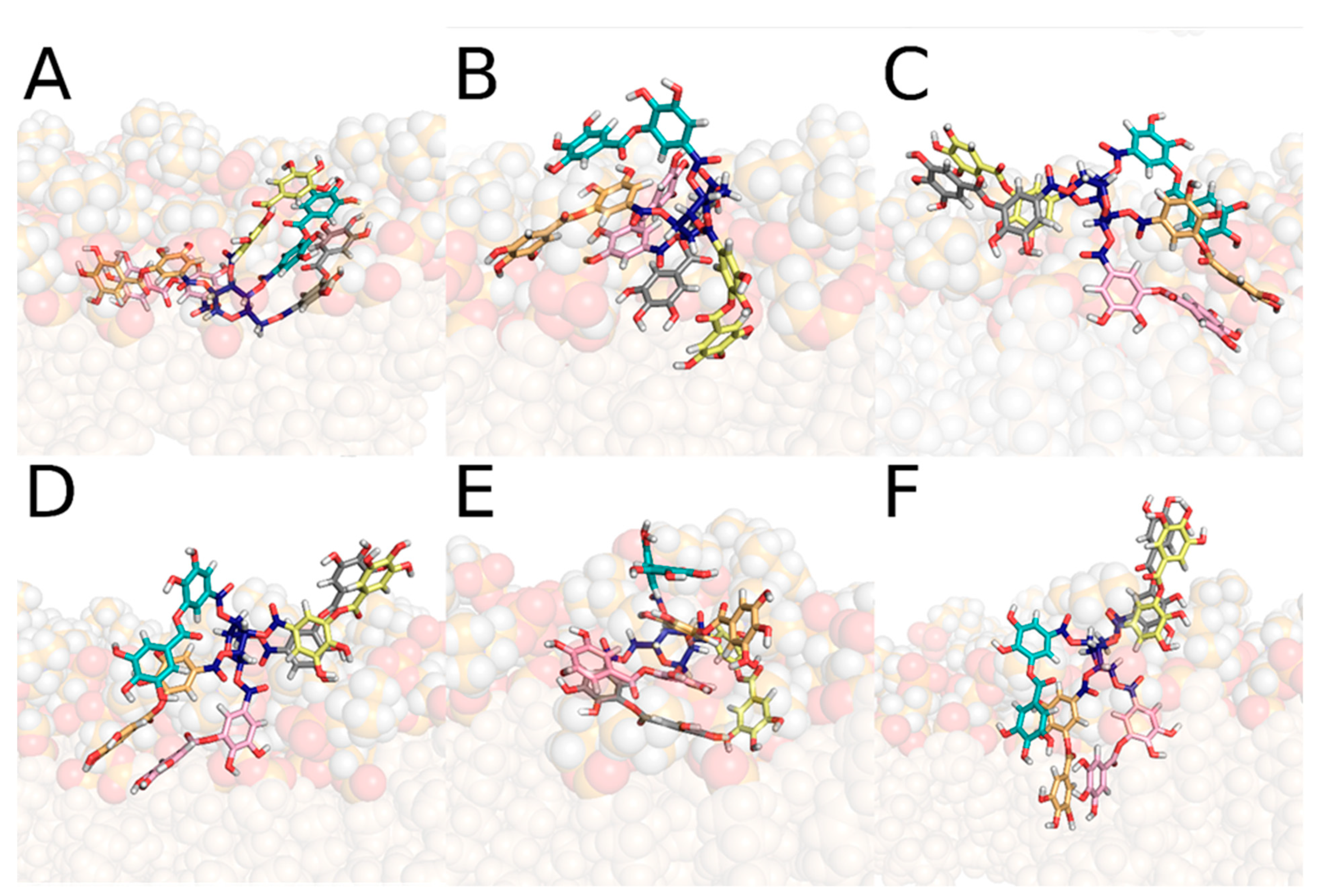Biomolecules 10 00439 g012