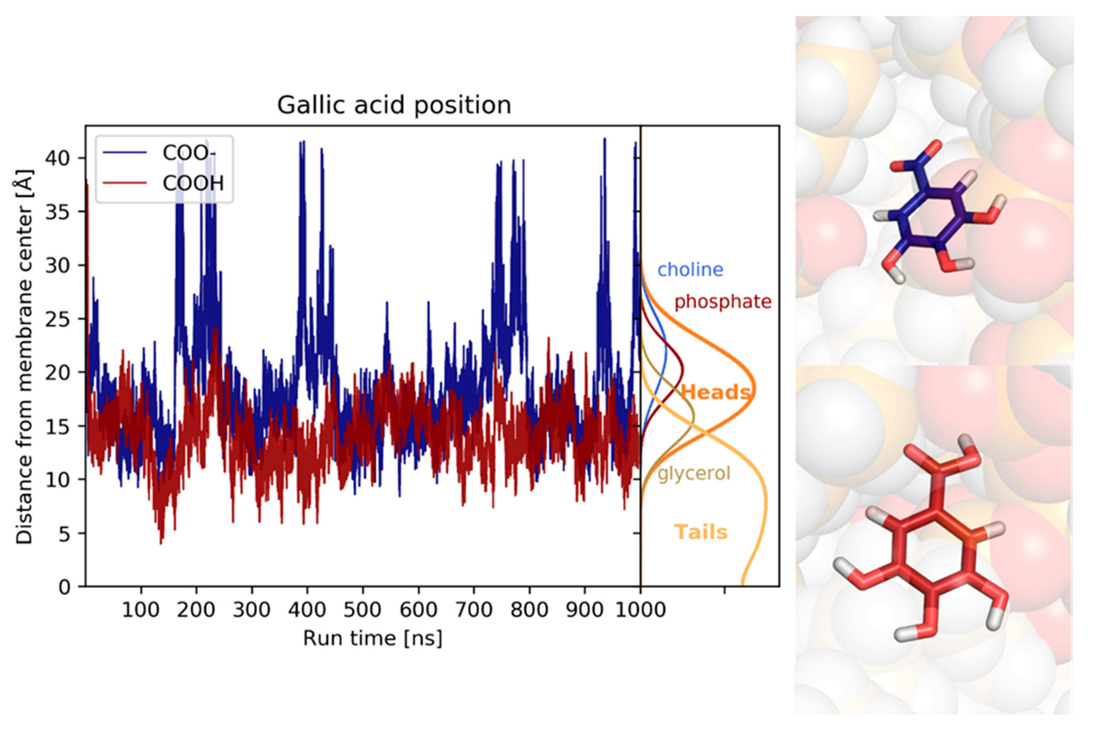 Biomolecules 10 00439 g014