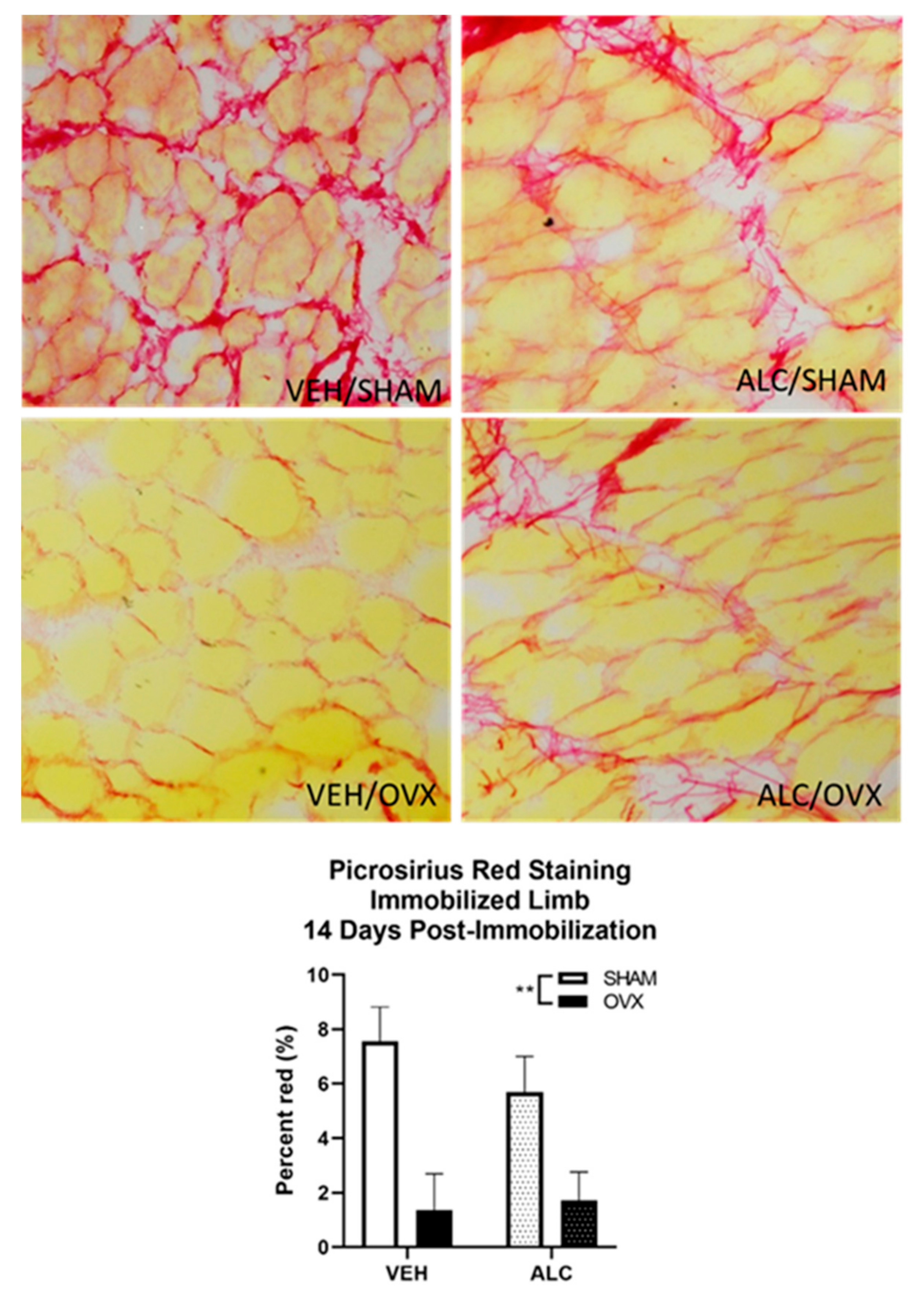 Biomolecules 10 00441 g005