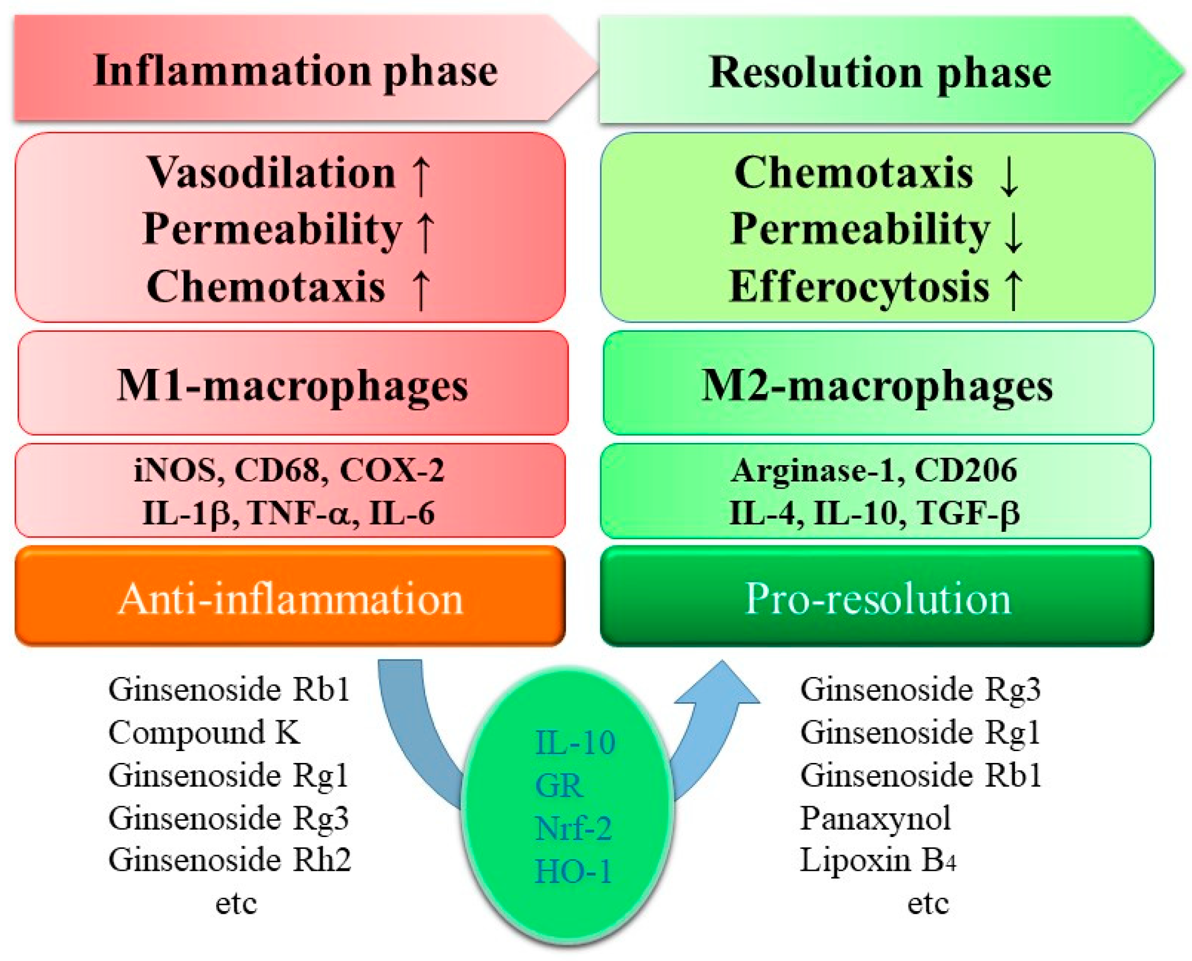 Biomolecules 10 00444 g002