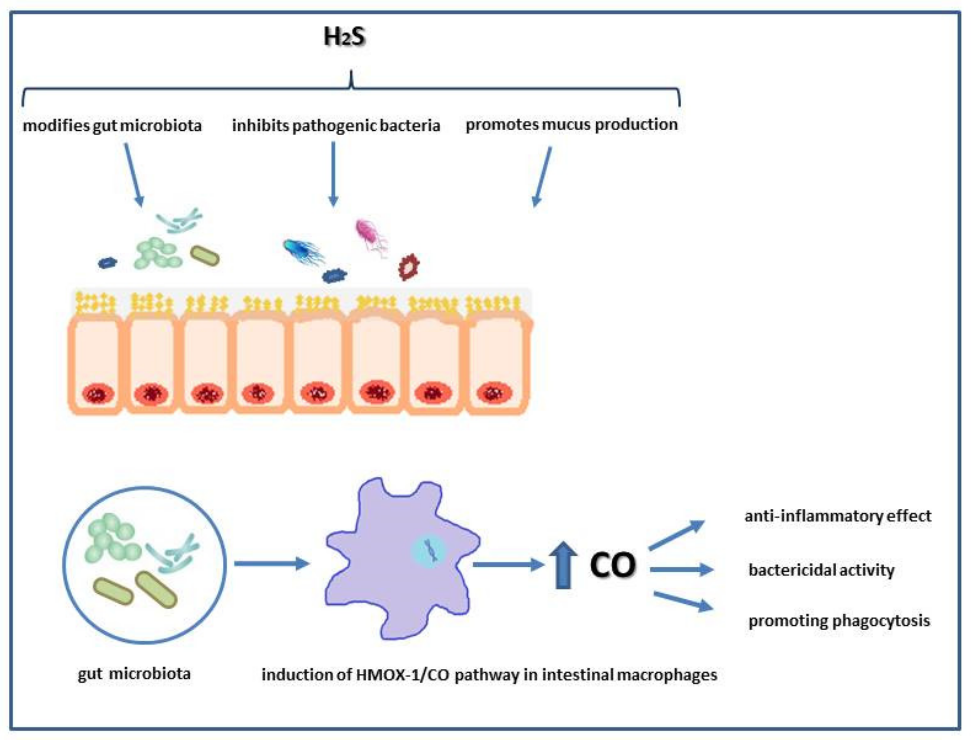 Biomolecules 10 00445 g001