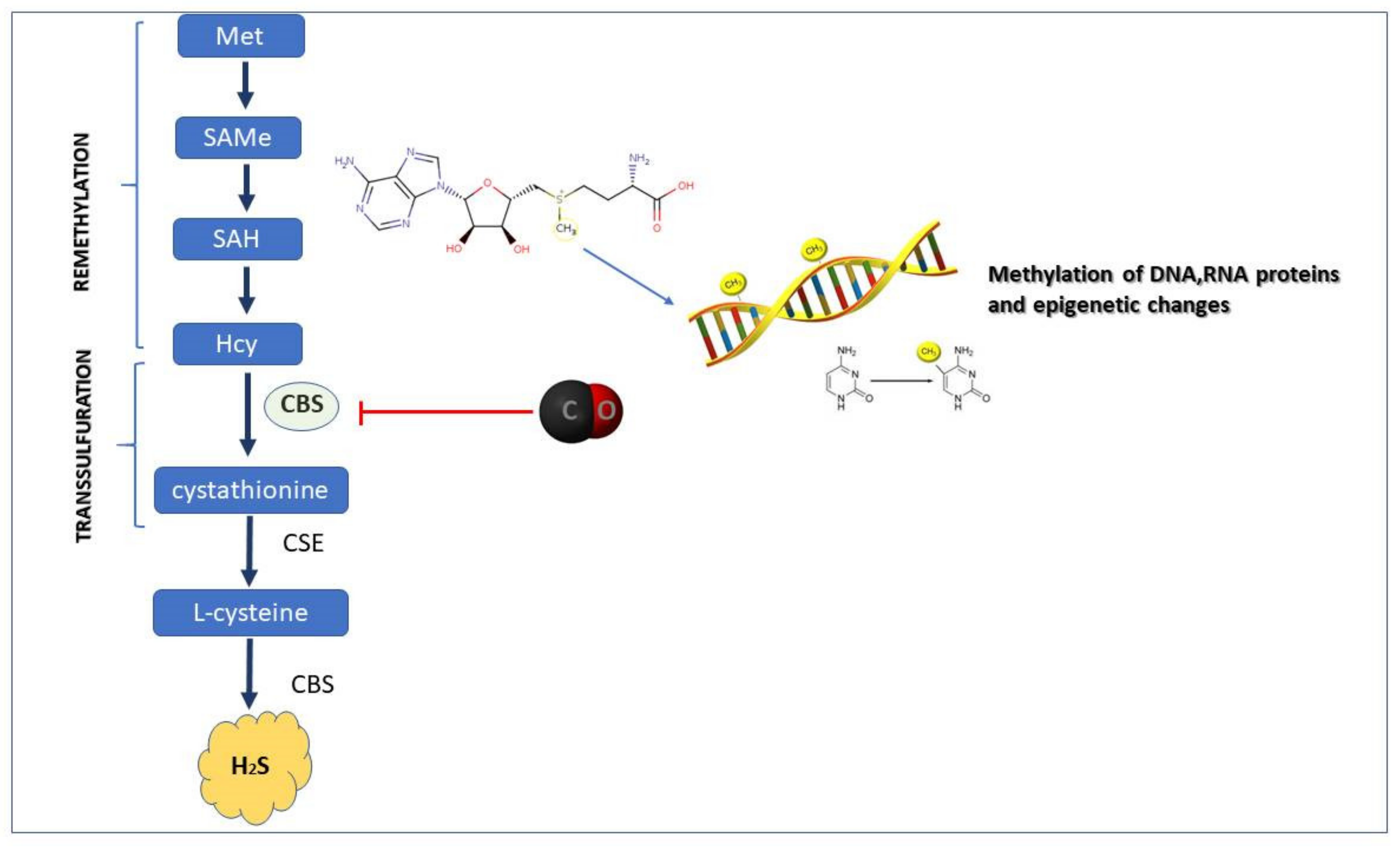 Biomolecules 10 00445 g002