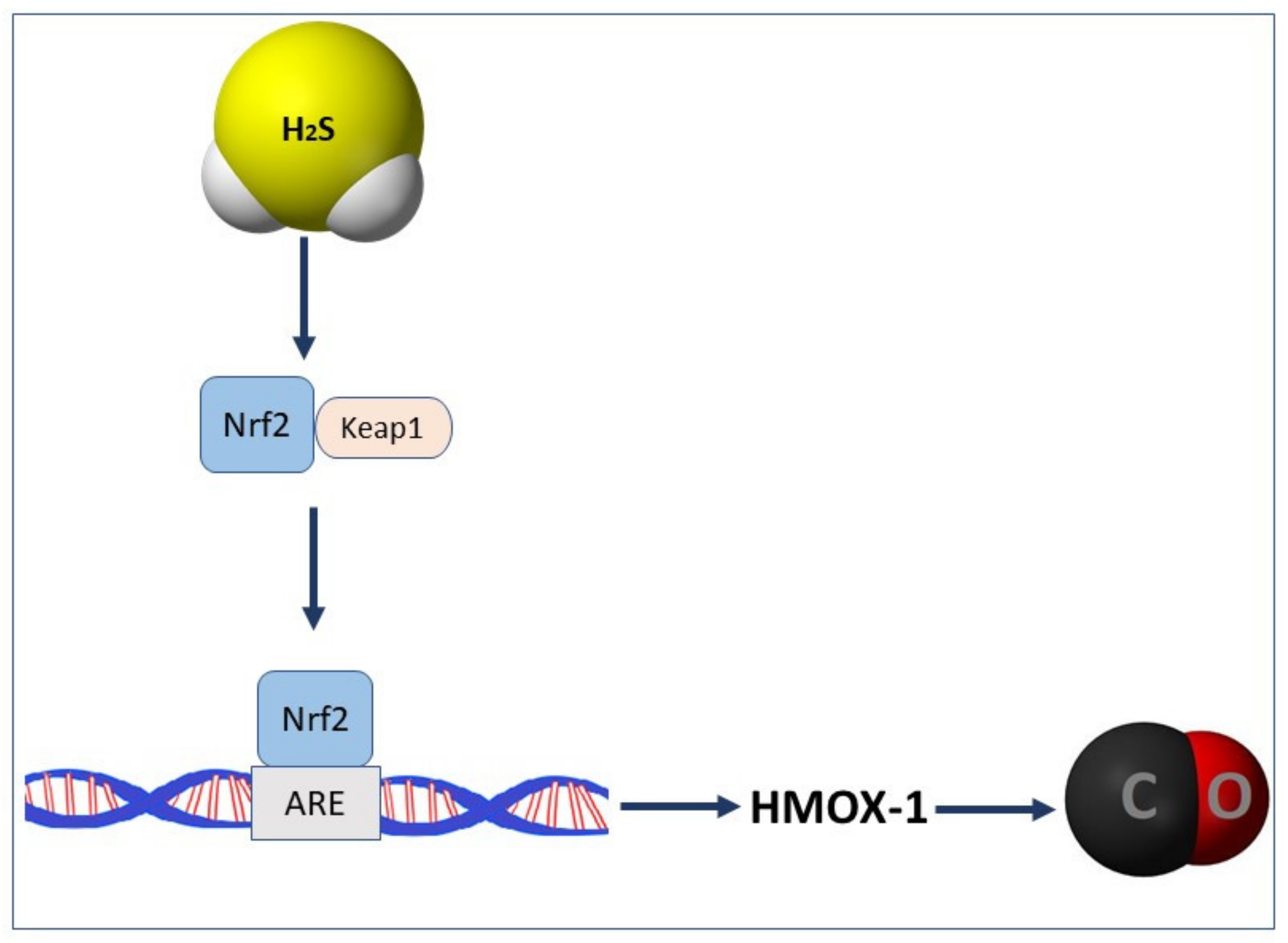 Biomolecules 10 00445 g003