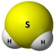 Biomolecules 10 00445 i001