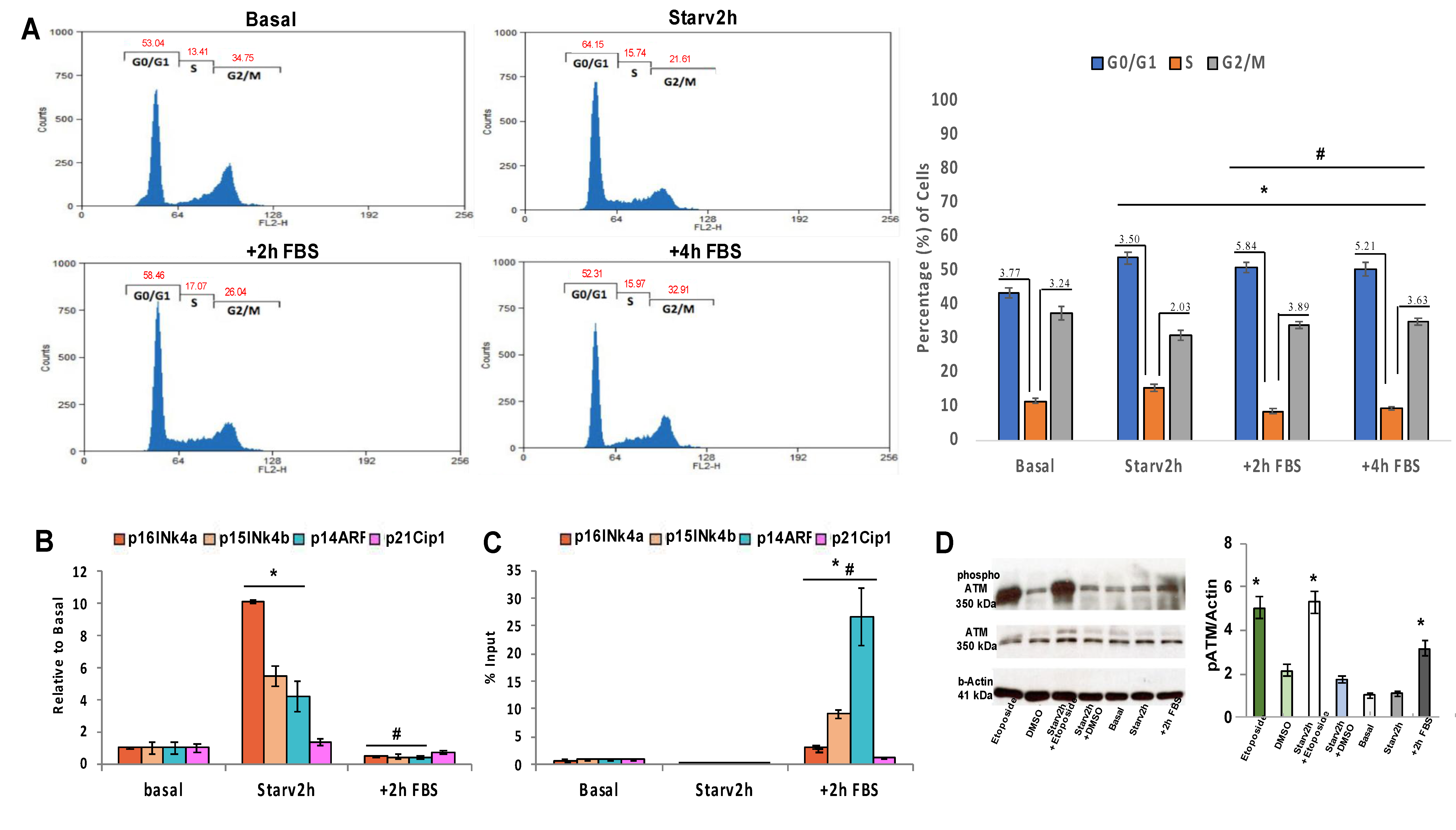 Biomolecules 10 00446 g002