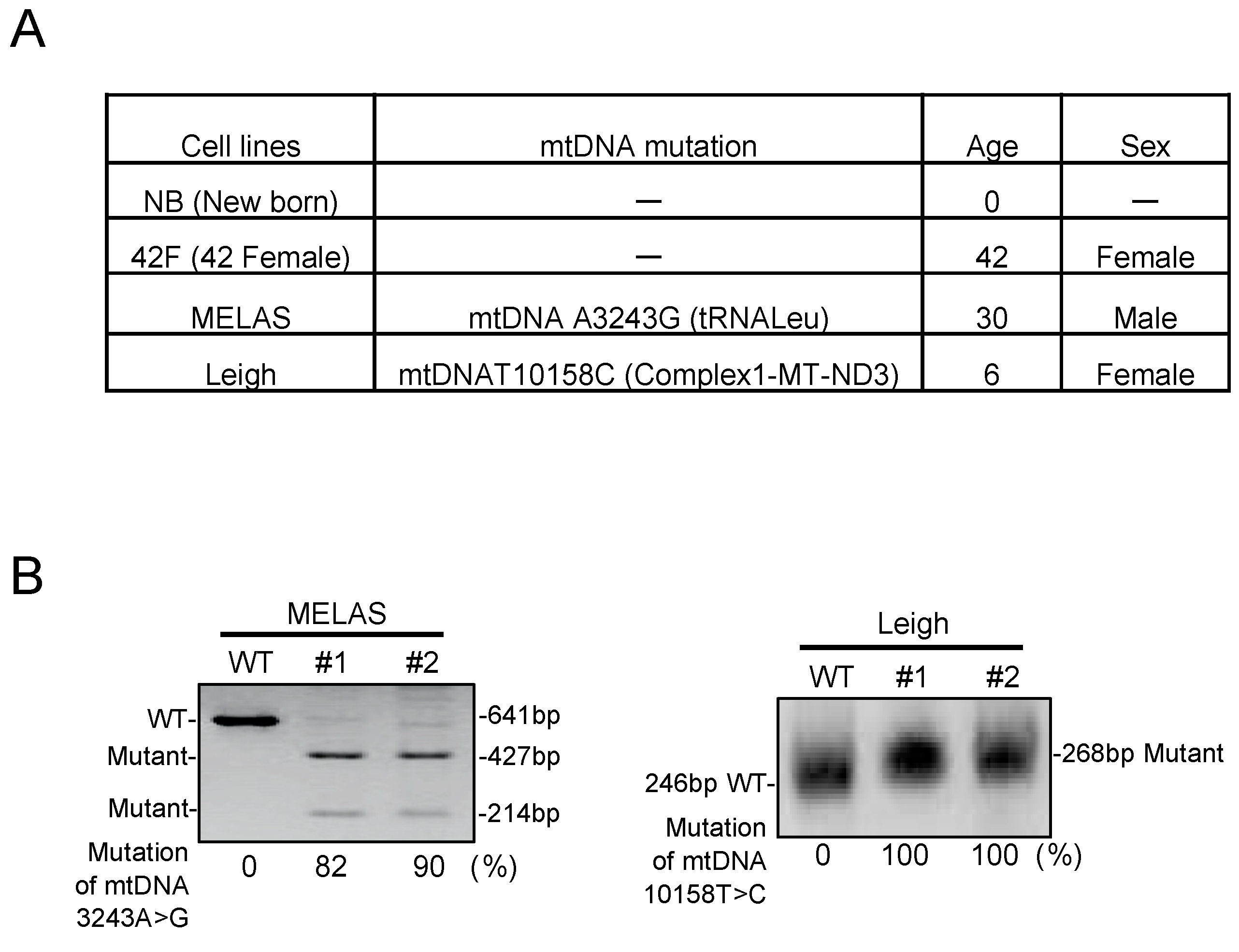 Biomolecules 10 00450 g001
