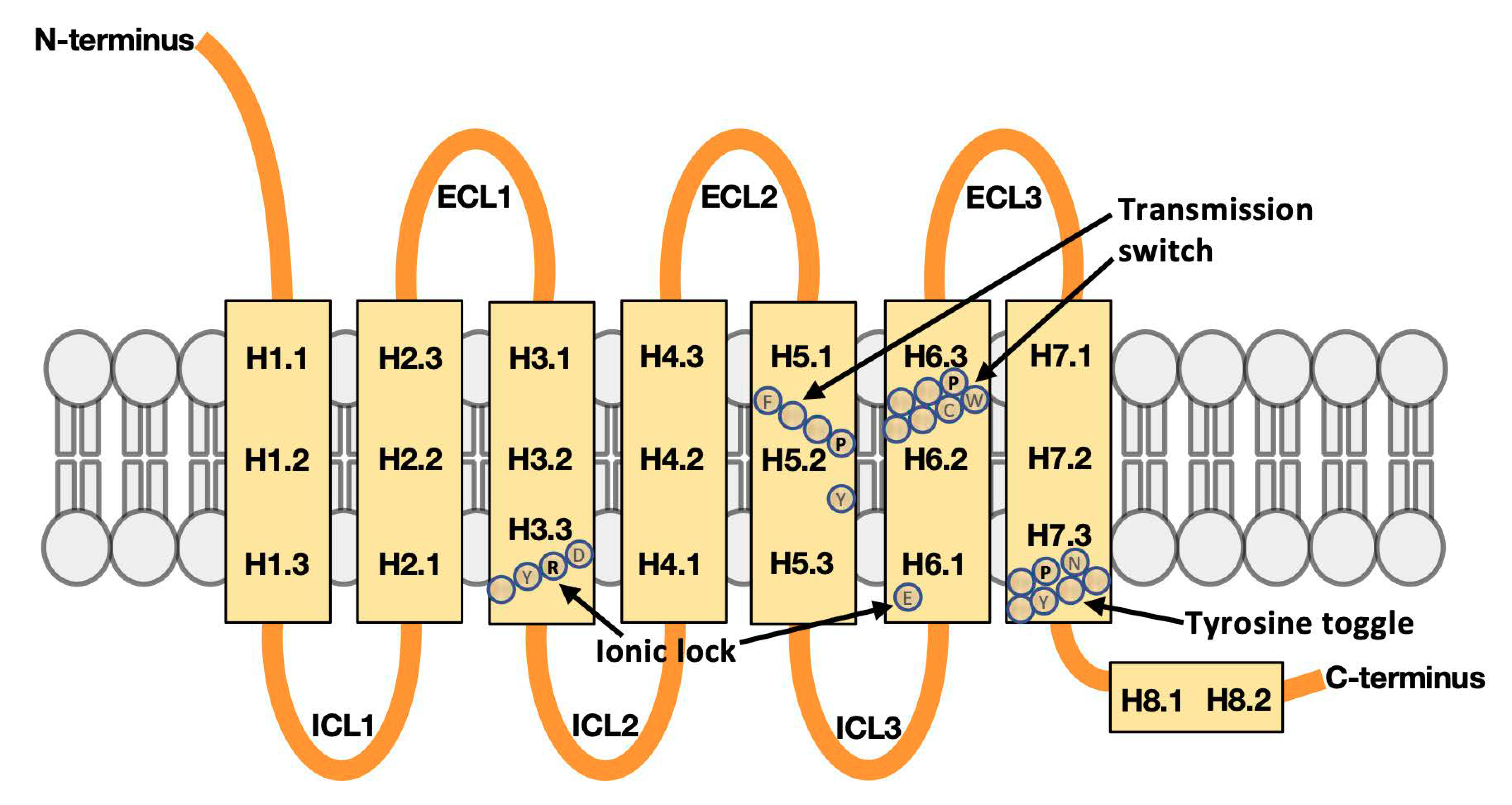 Biomolecules 10 00454 g001 Biomolecules 10 00454 g001
