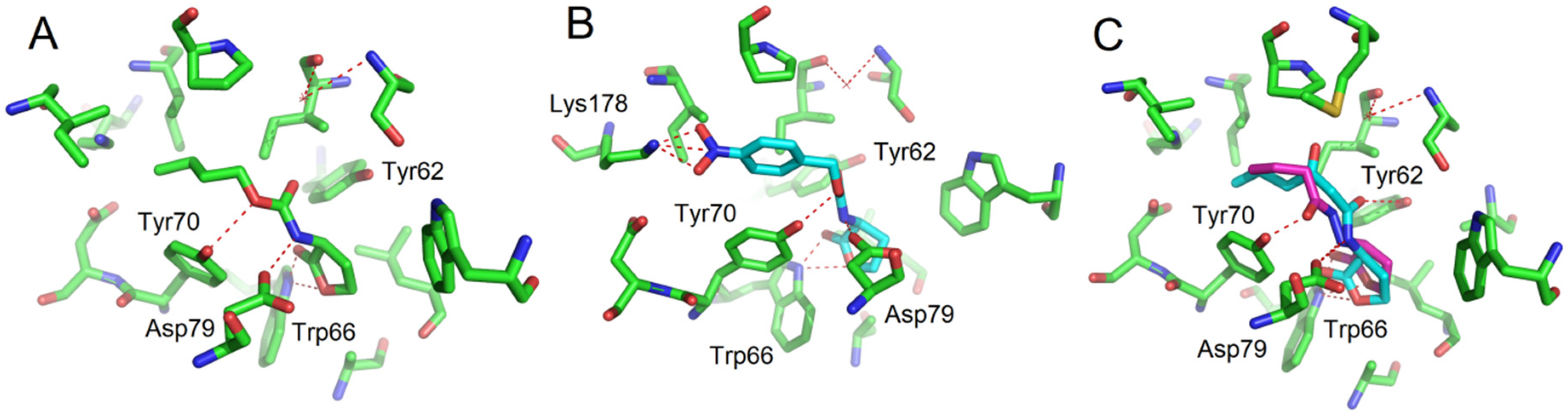 Biomolecules 10 00455 g003