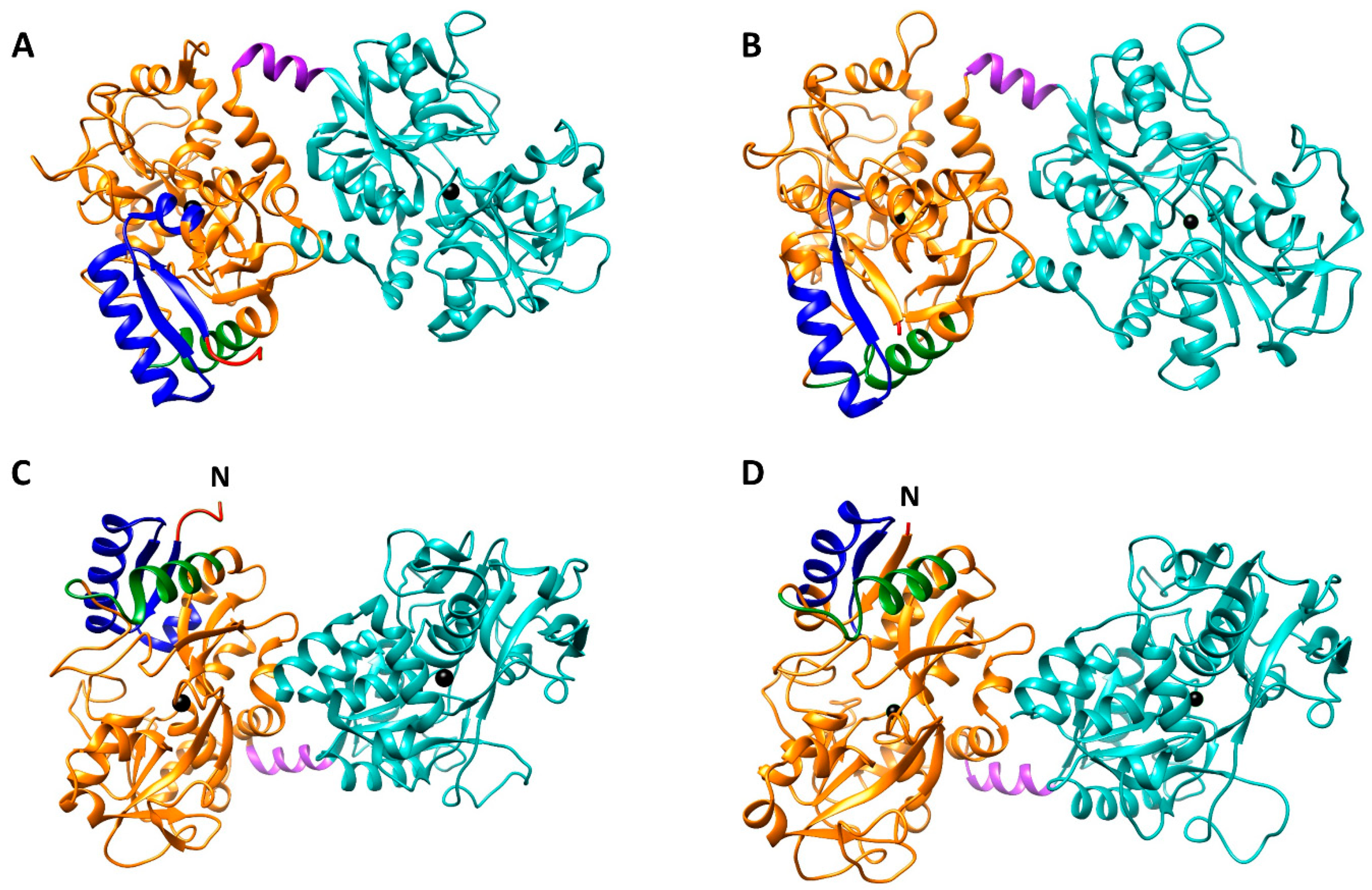 Biomolecules 10 00456 g001 Biomolecules 10 00456 g001