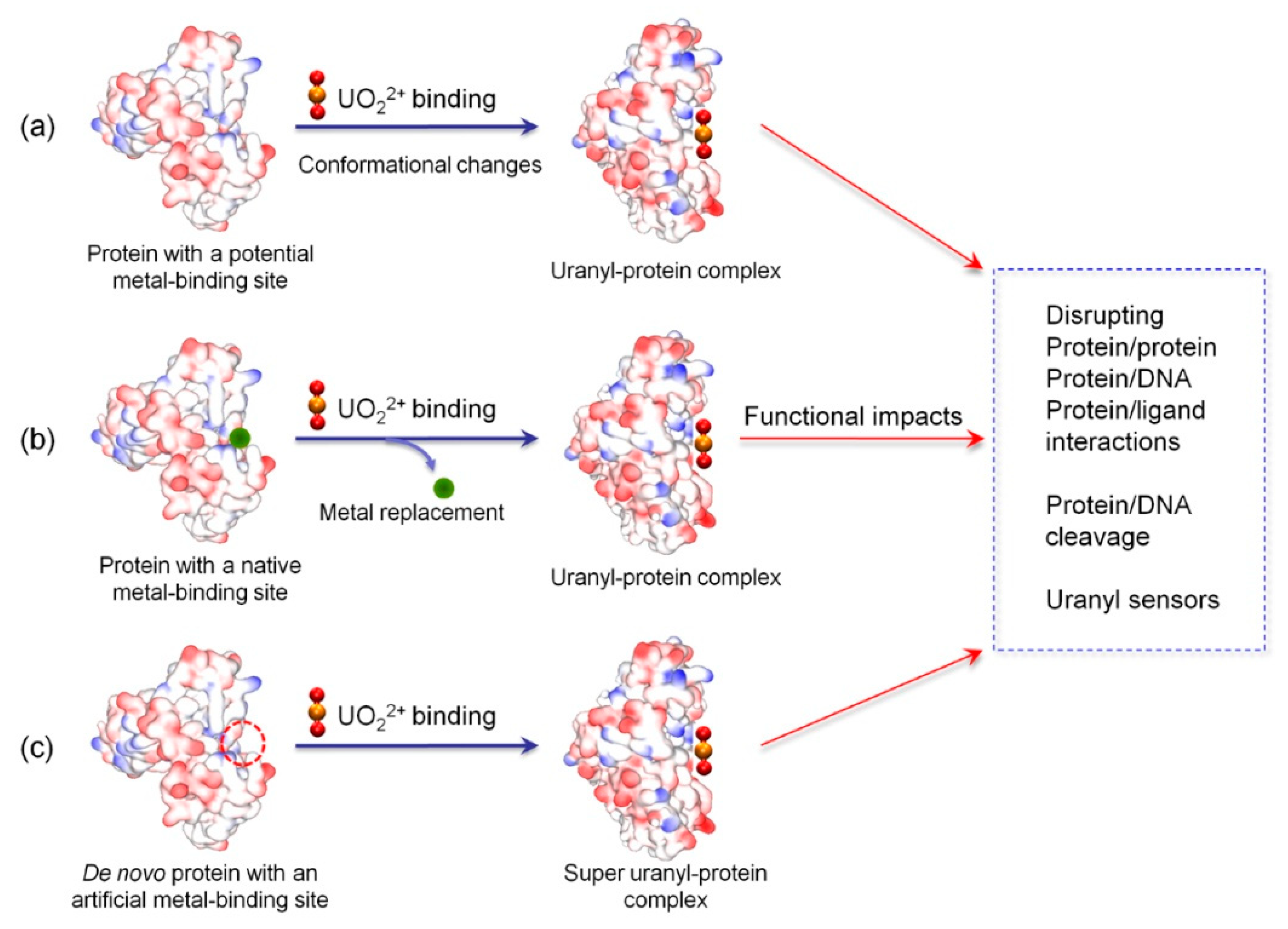 Biomolecules 10 00457 sch001 Biomolecules 10 00457 sch001