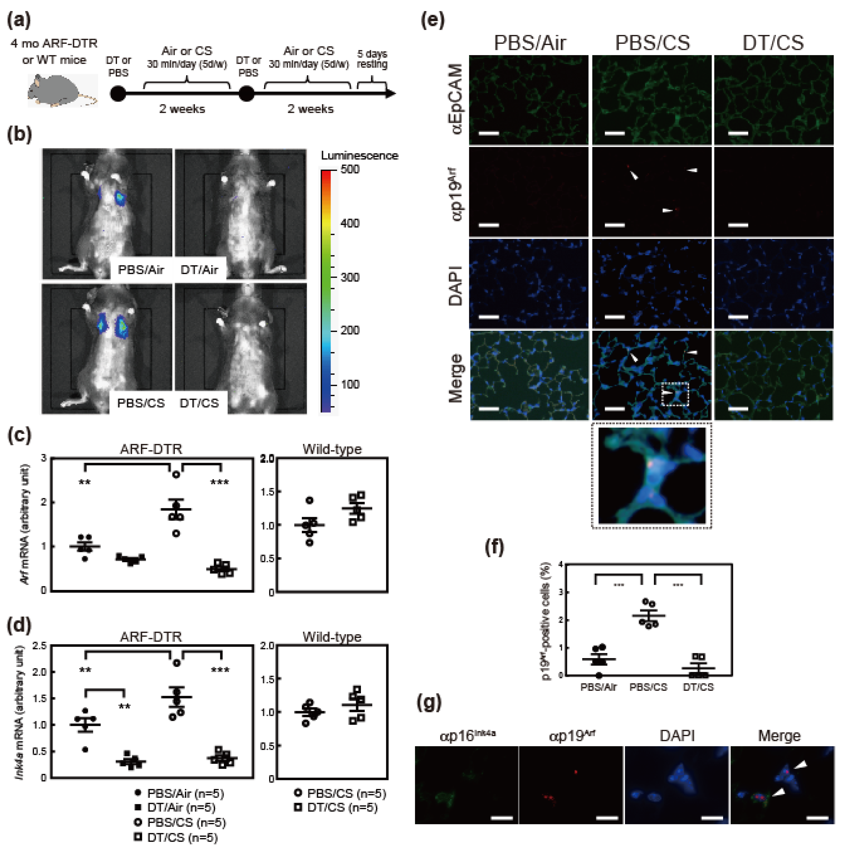 Biomolecules 10 00462 g001