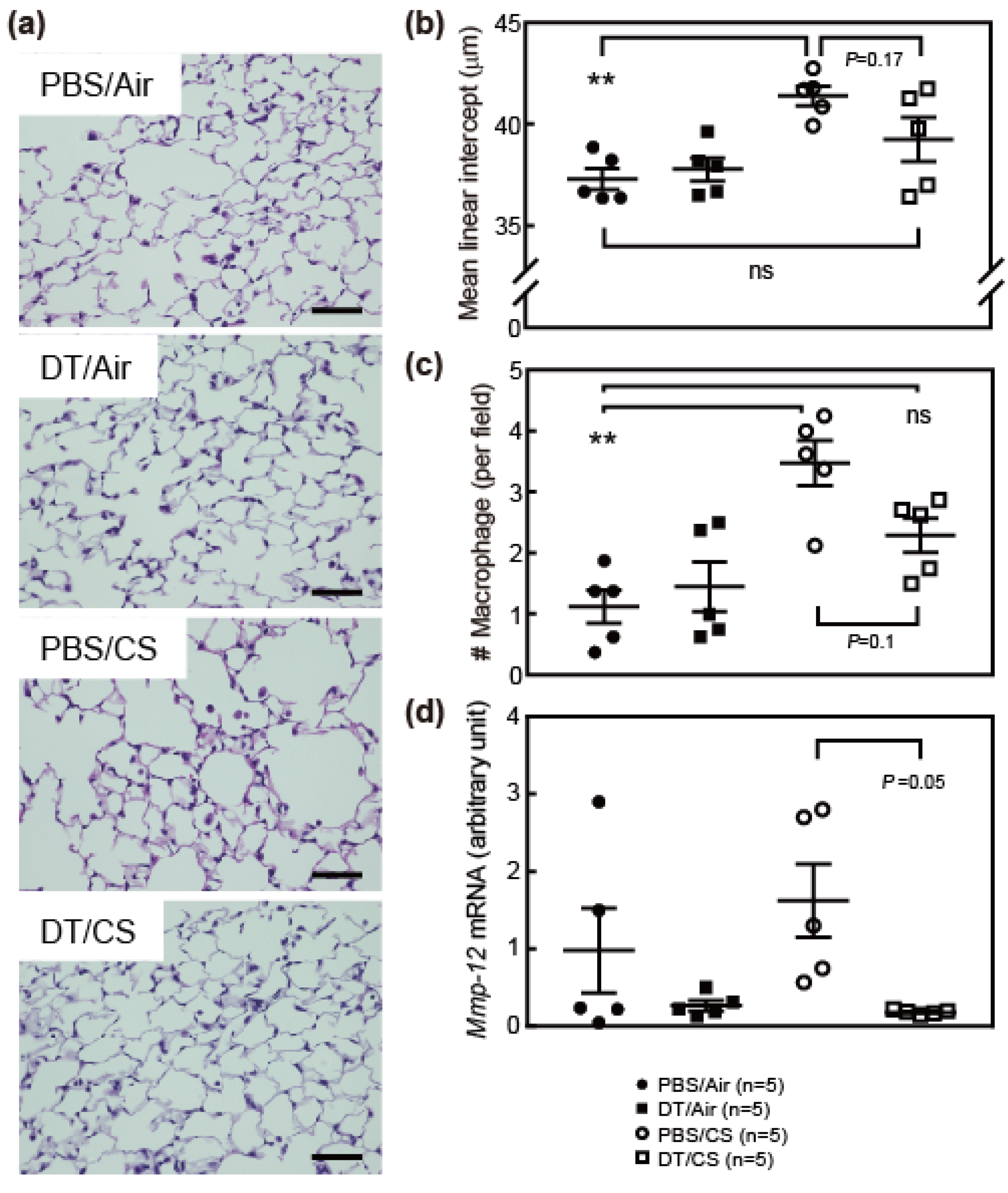 Biomolecules 10 00462 g002