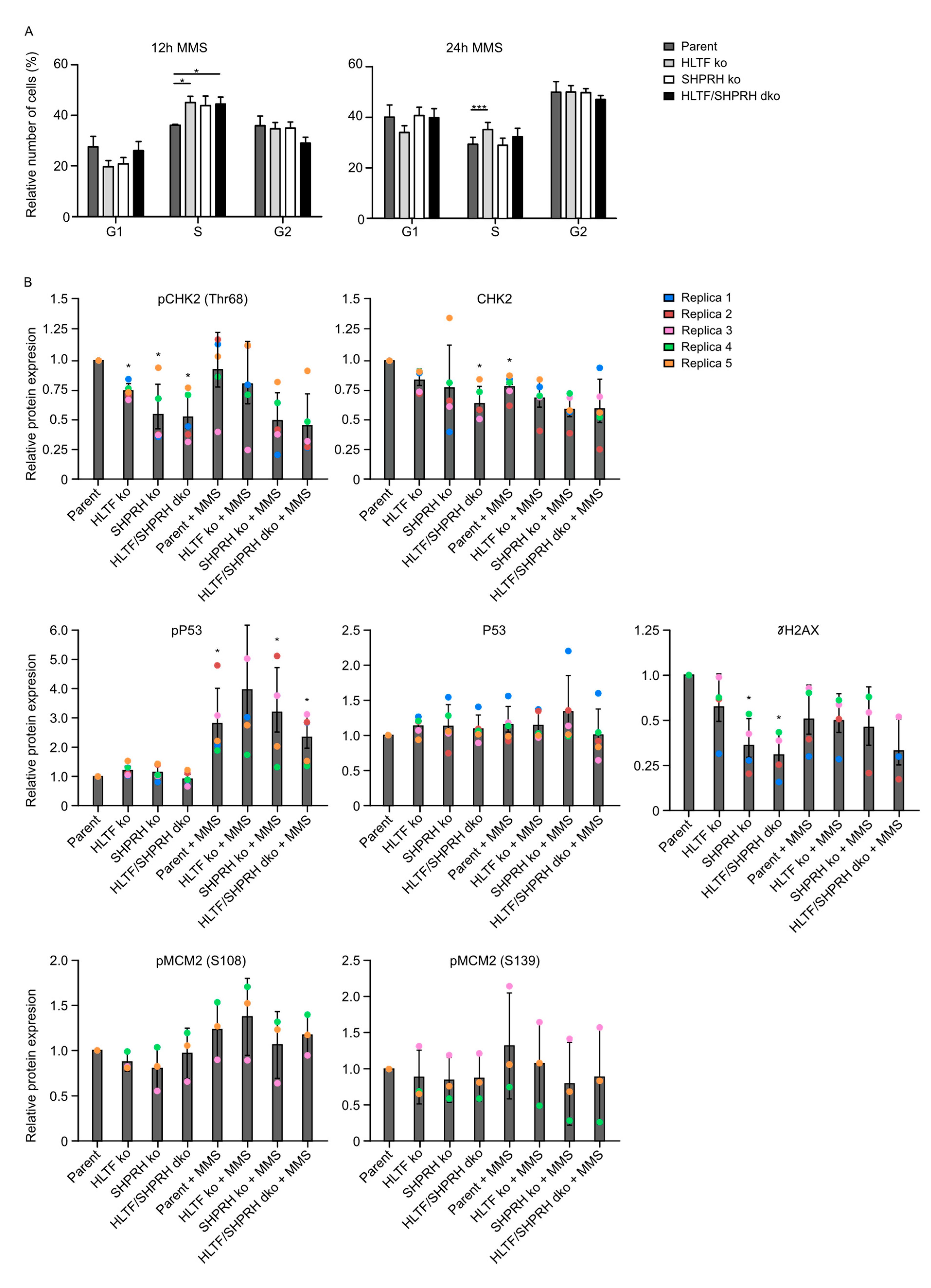 Biomolecules 10 00463 g005