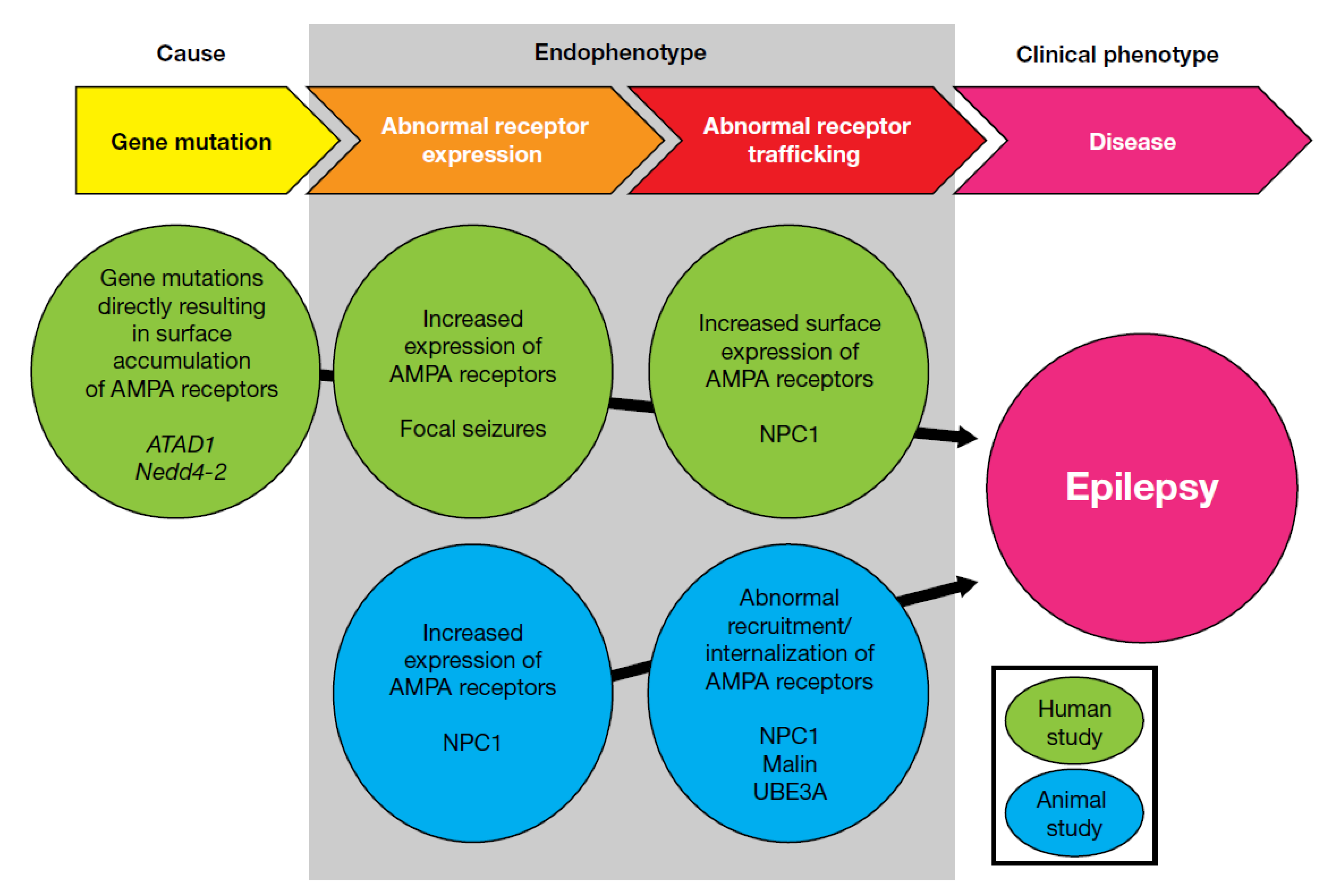 Biomolecules 10 00464 g002 Biomolecules 10 00464 g002