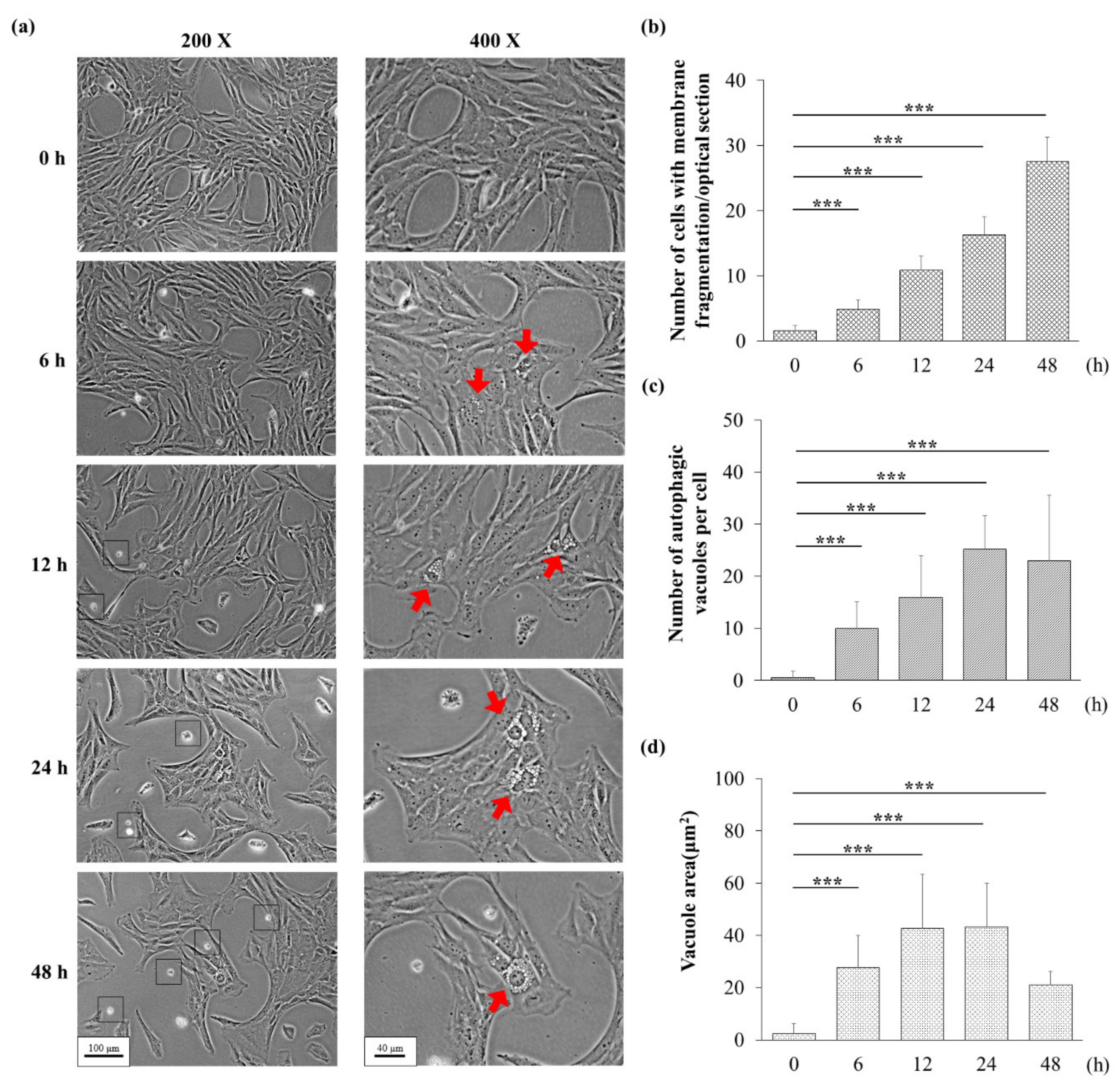 Biomolecules 10 00465 g003 Biomolecules 10 00465 g003