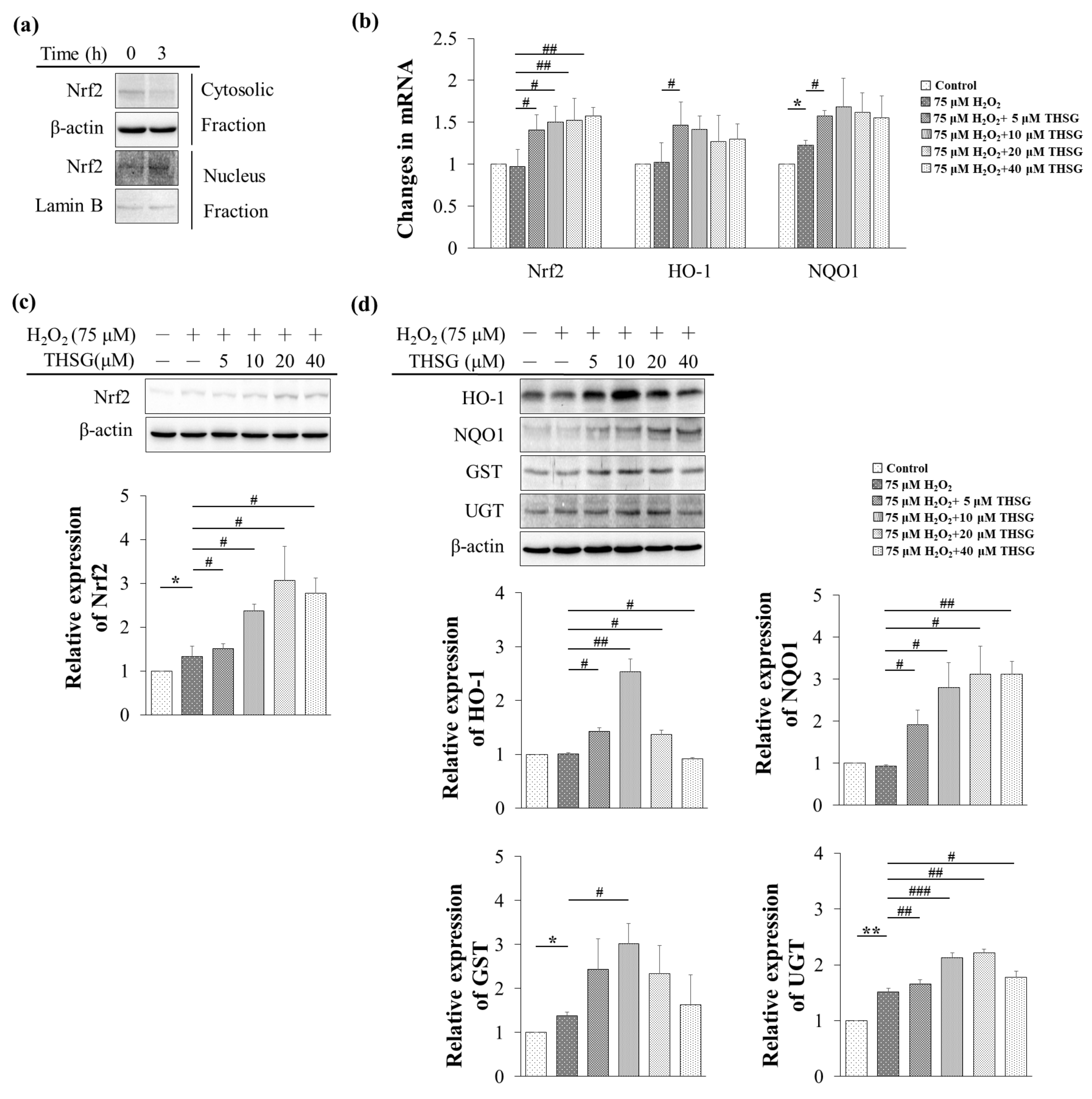 Biomolecules 10 00465 g006 Biomolecules 10 00465 g006