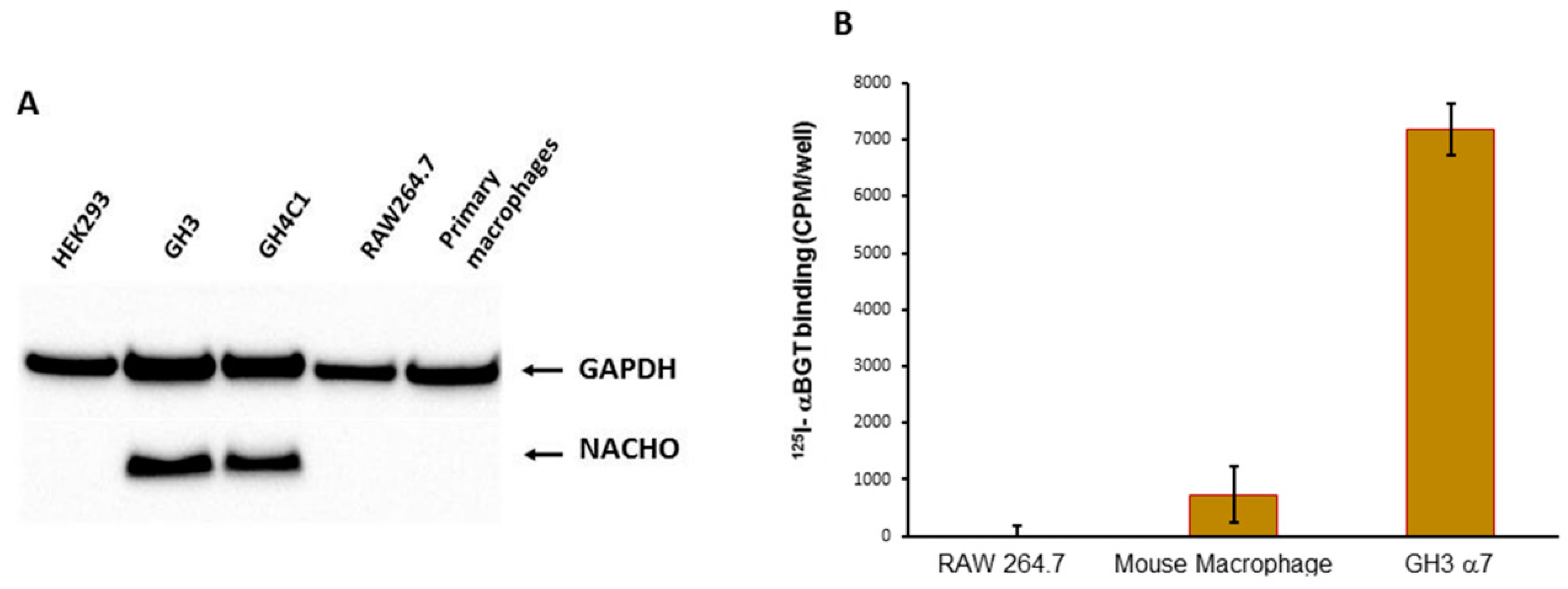 Biomolecules 10 00470 g001 Biomolecules 10 00470 g001