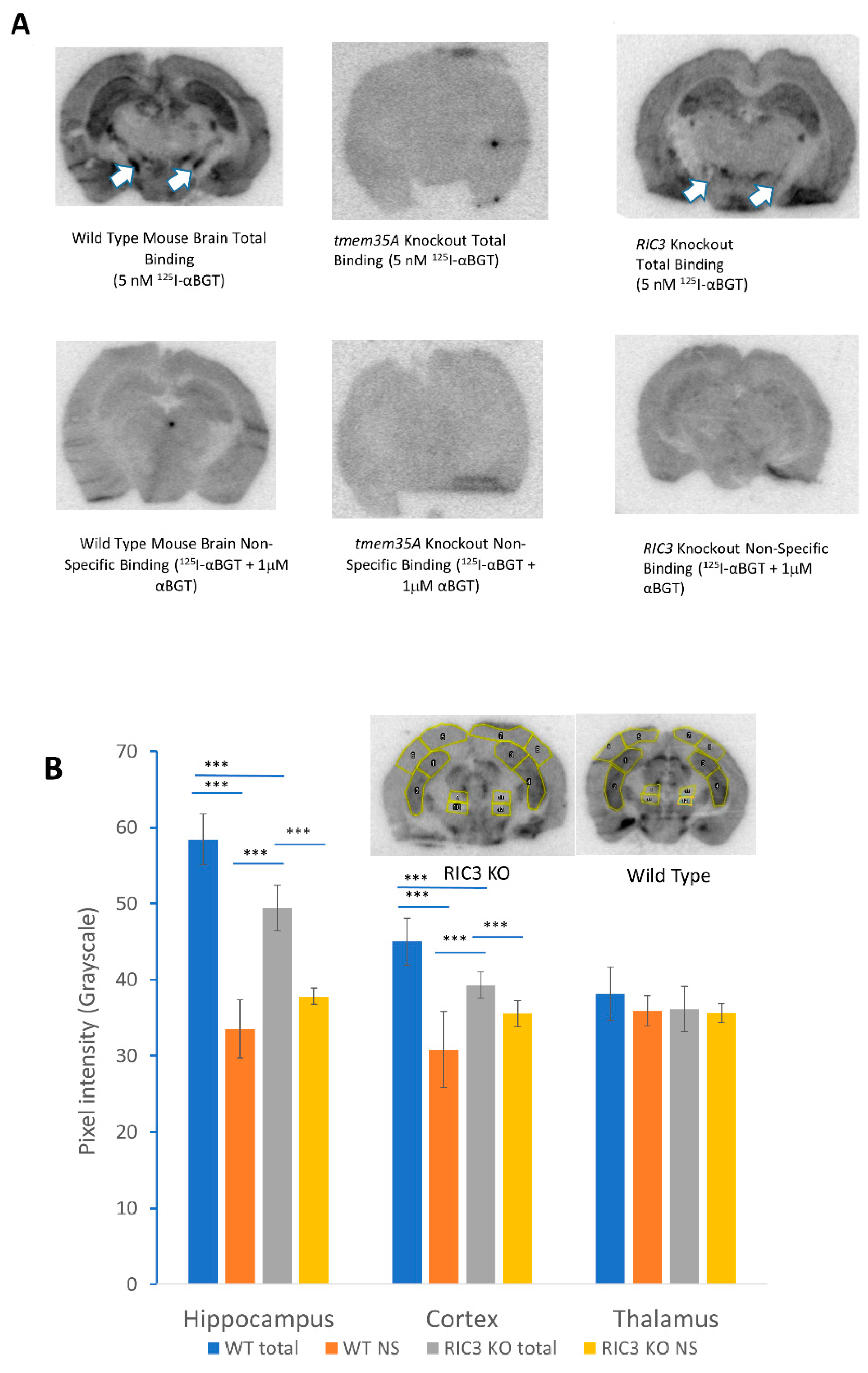 Biomolecules 10 00470 g005 Biomolecules 10 00470 g005