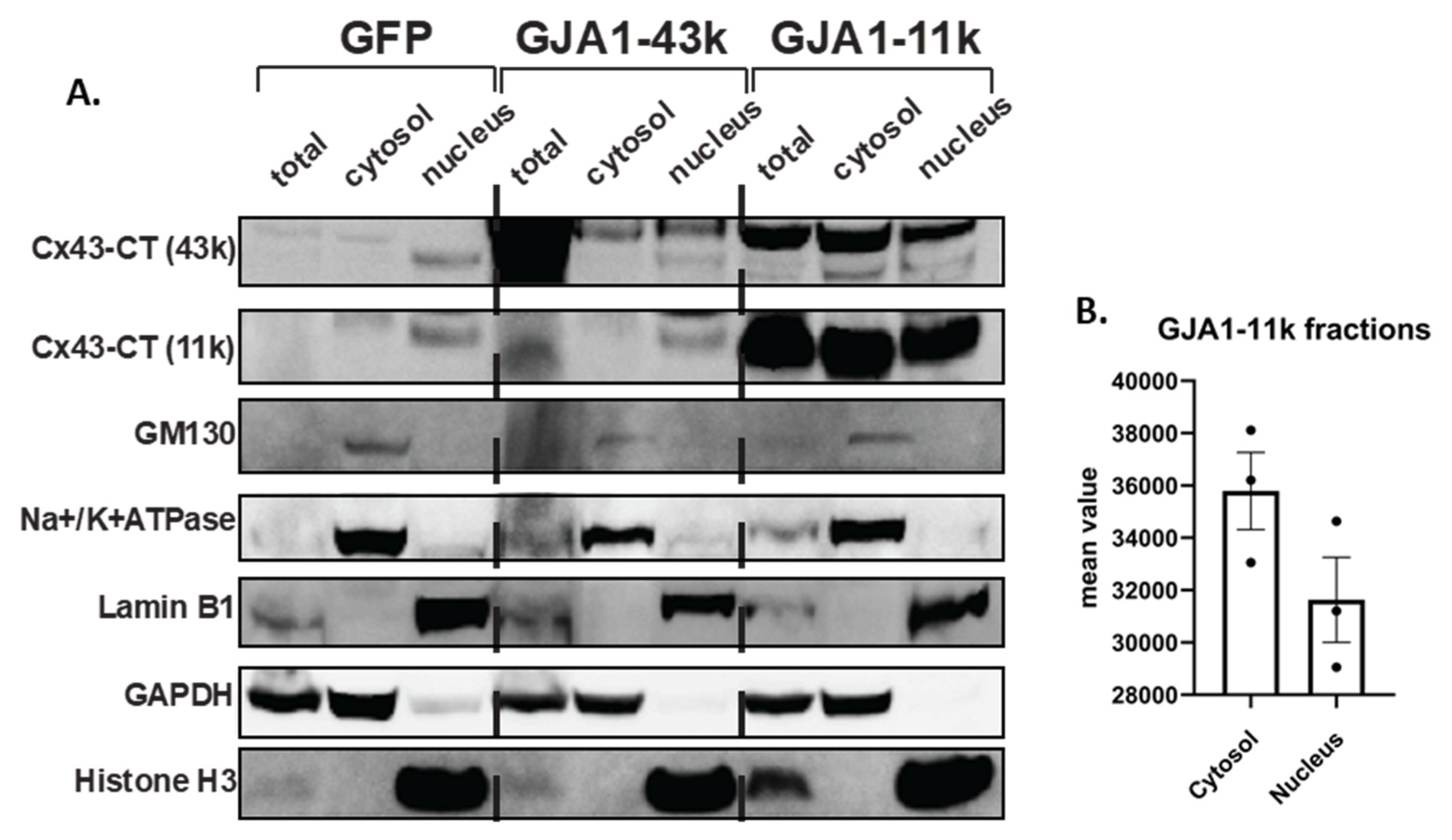 Biomolecules 10 00473 g002 Biomolecules 10 00473 g002