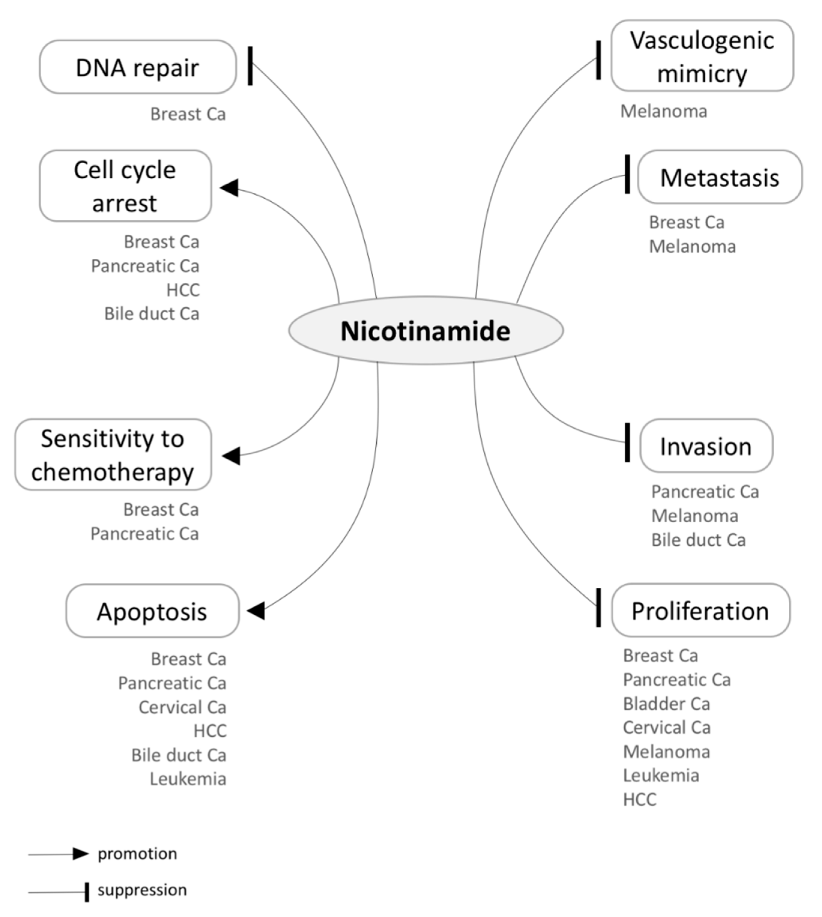Biomolecules 10 00477 g003 Biomolecules 10 00477 g003
