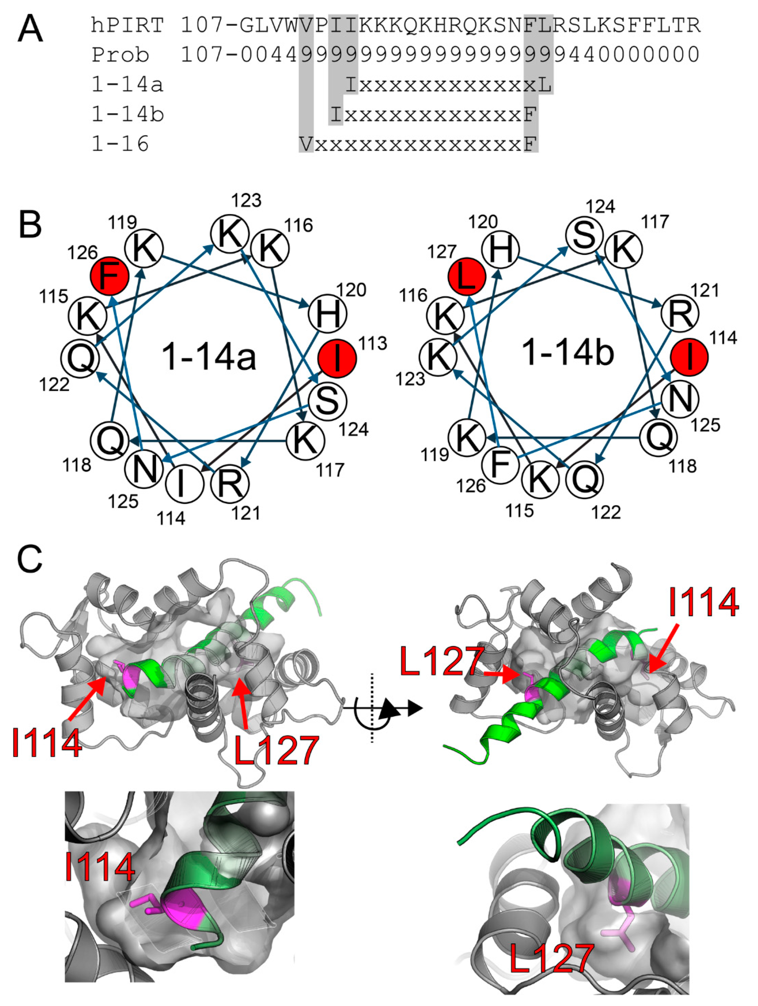 Biomolecules | Free Full-Text | PIRT the TRP Channel Regulating 