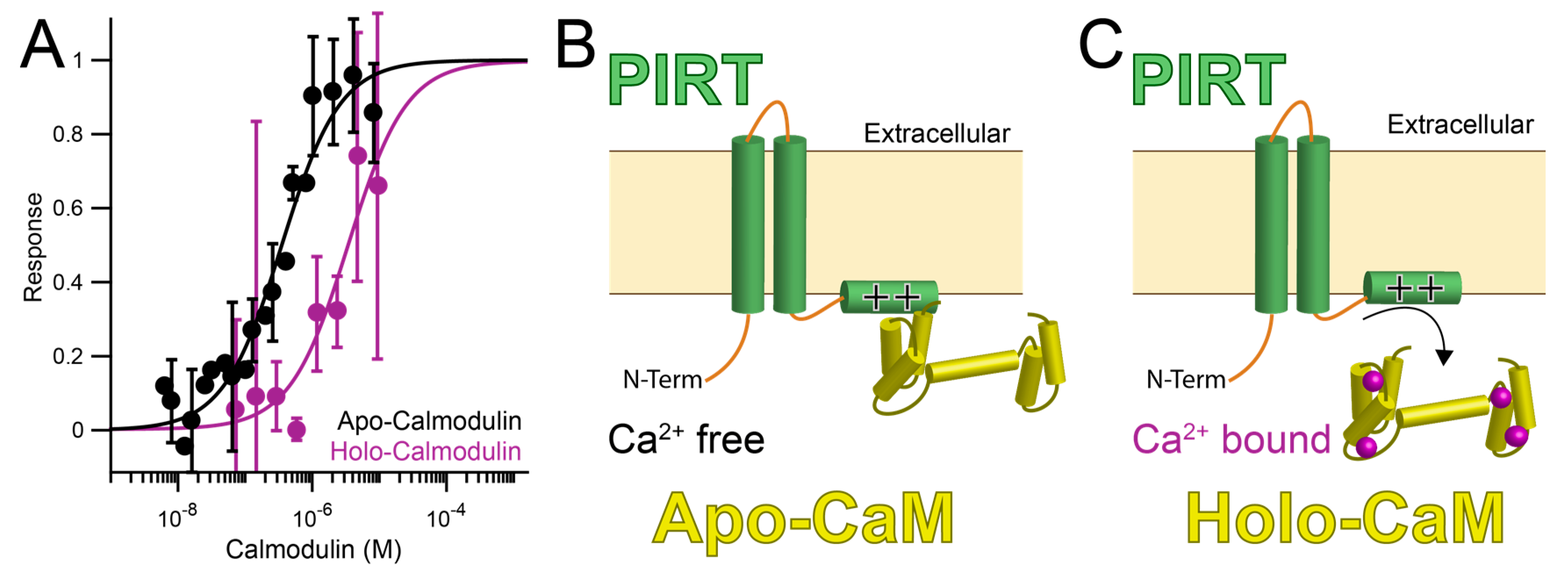 Biomolecules 10 00478 g002 Biomolecules 10 00478 g002