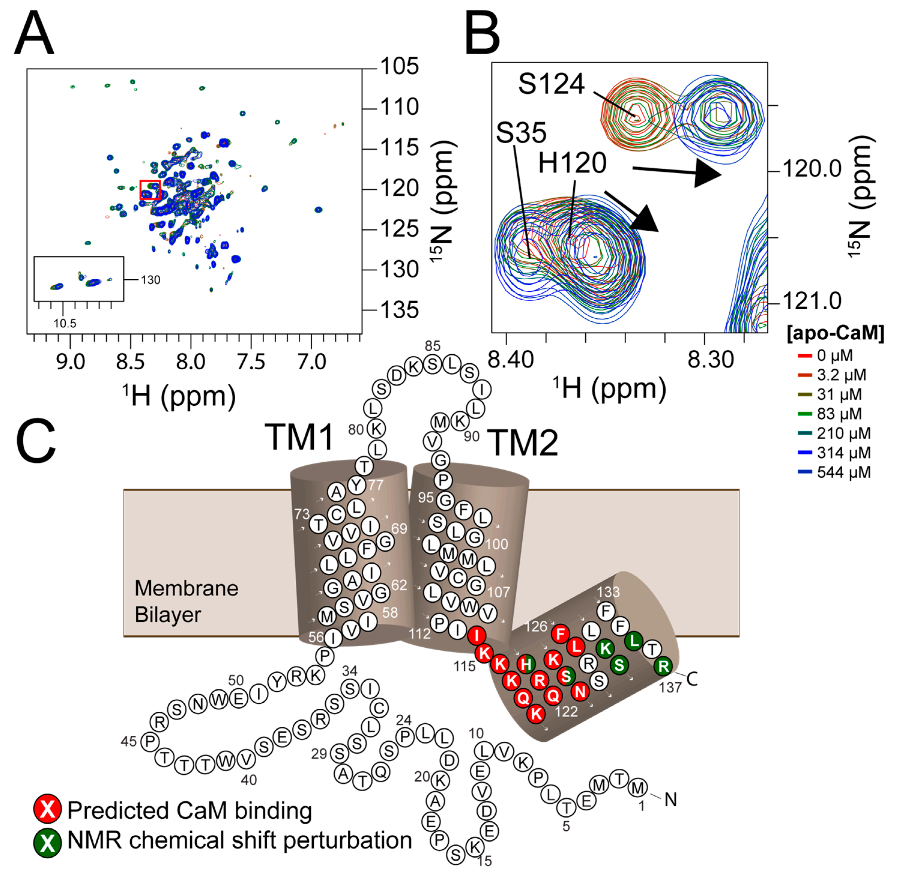 Biomolecules 10 00478 g003 Biomolecules 10 00478 g003
