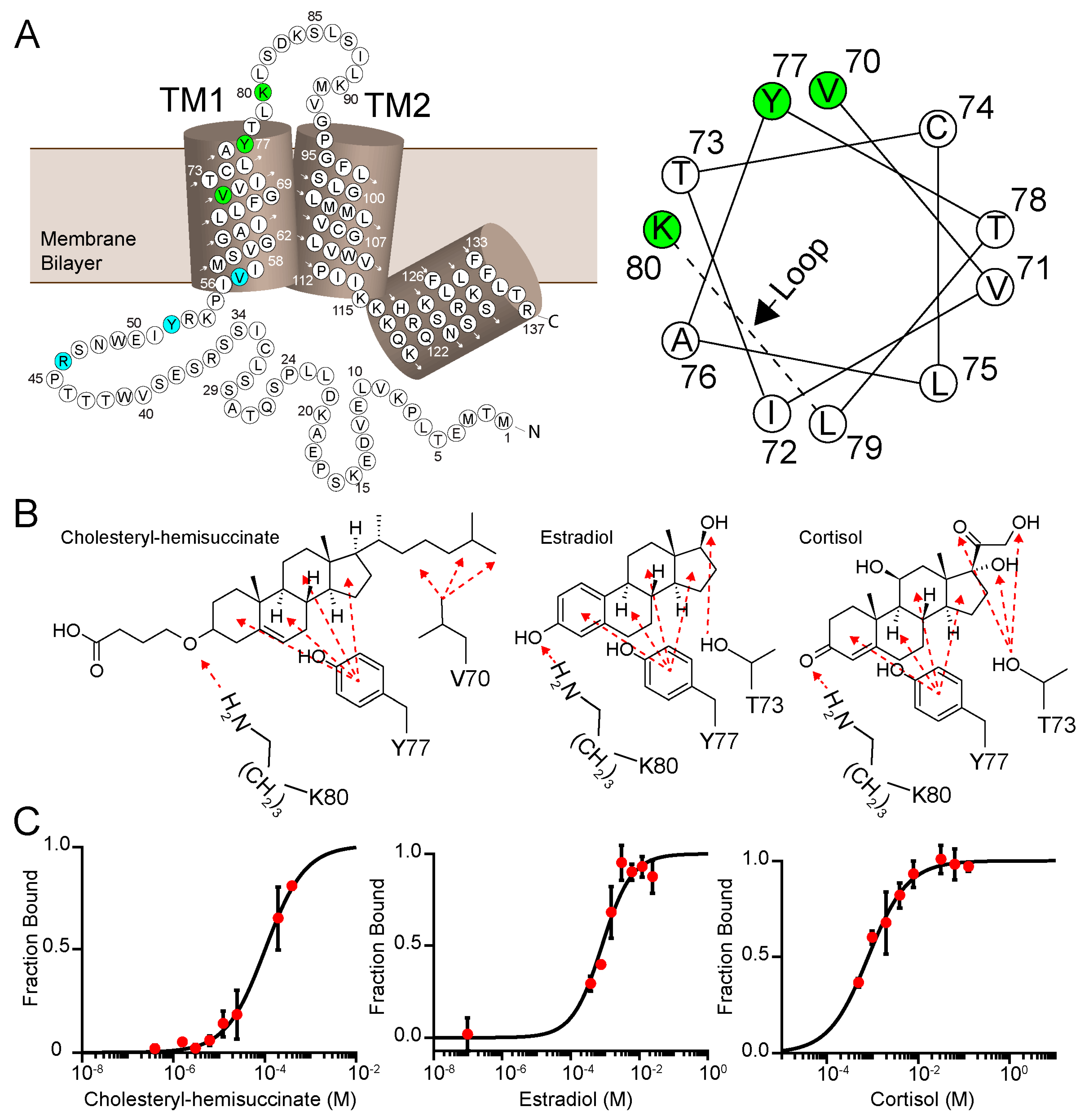 Biomolecules 10 00478 g004 Biomolecules 10 00478 g004