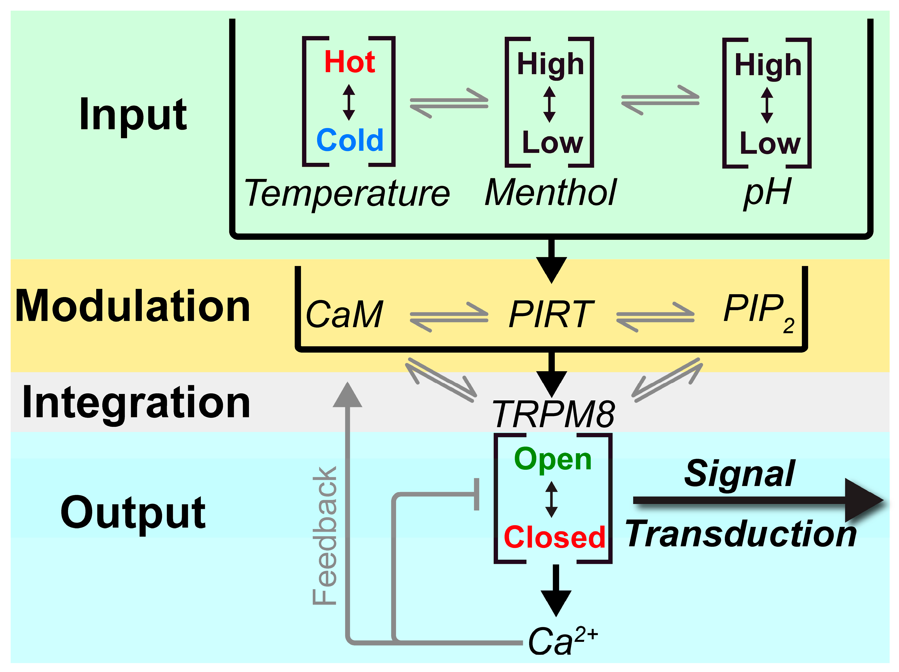 Biomolecules 10 00478 g006 Biomolecules 10 00478 g006