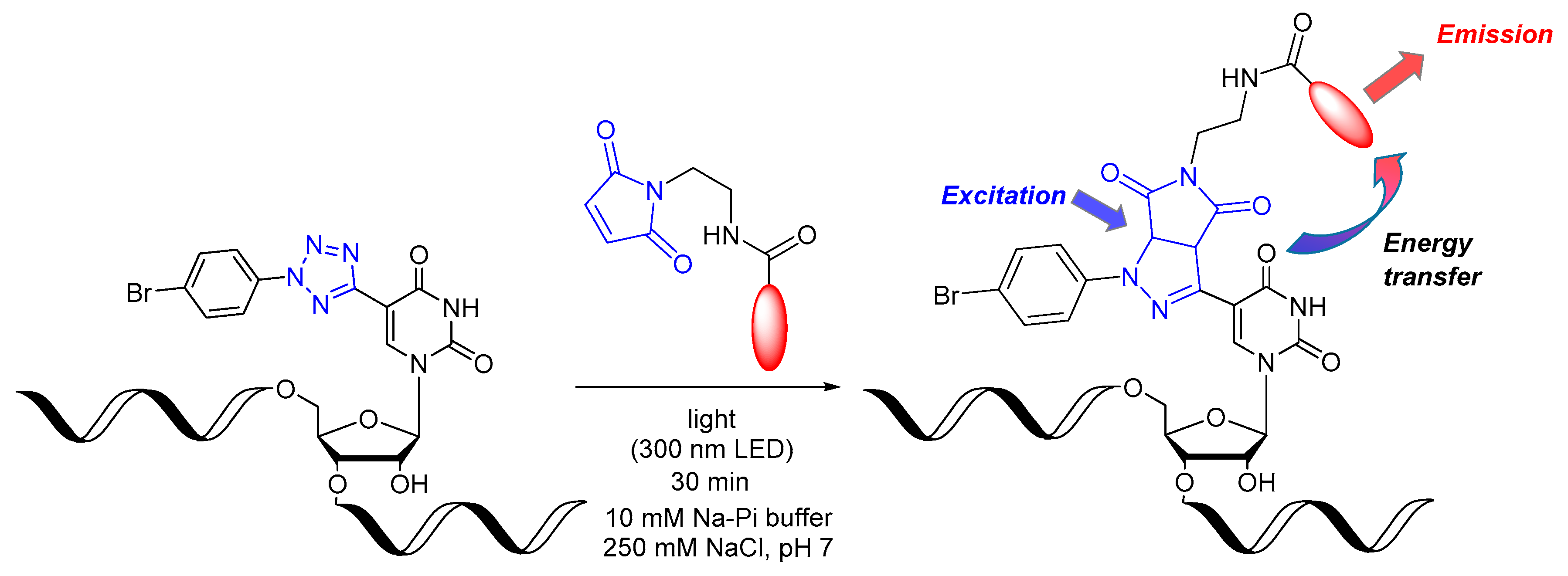 Biomolecules 10 00480 g001 Biomolecules 10 00480 g001