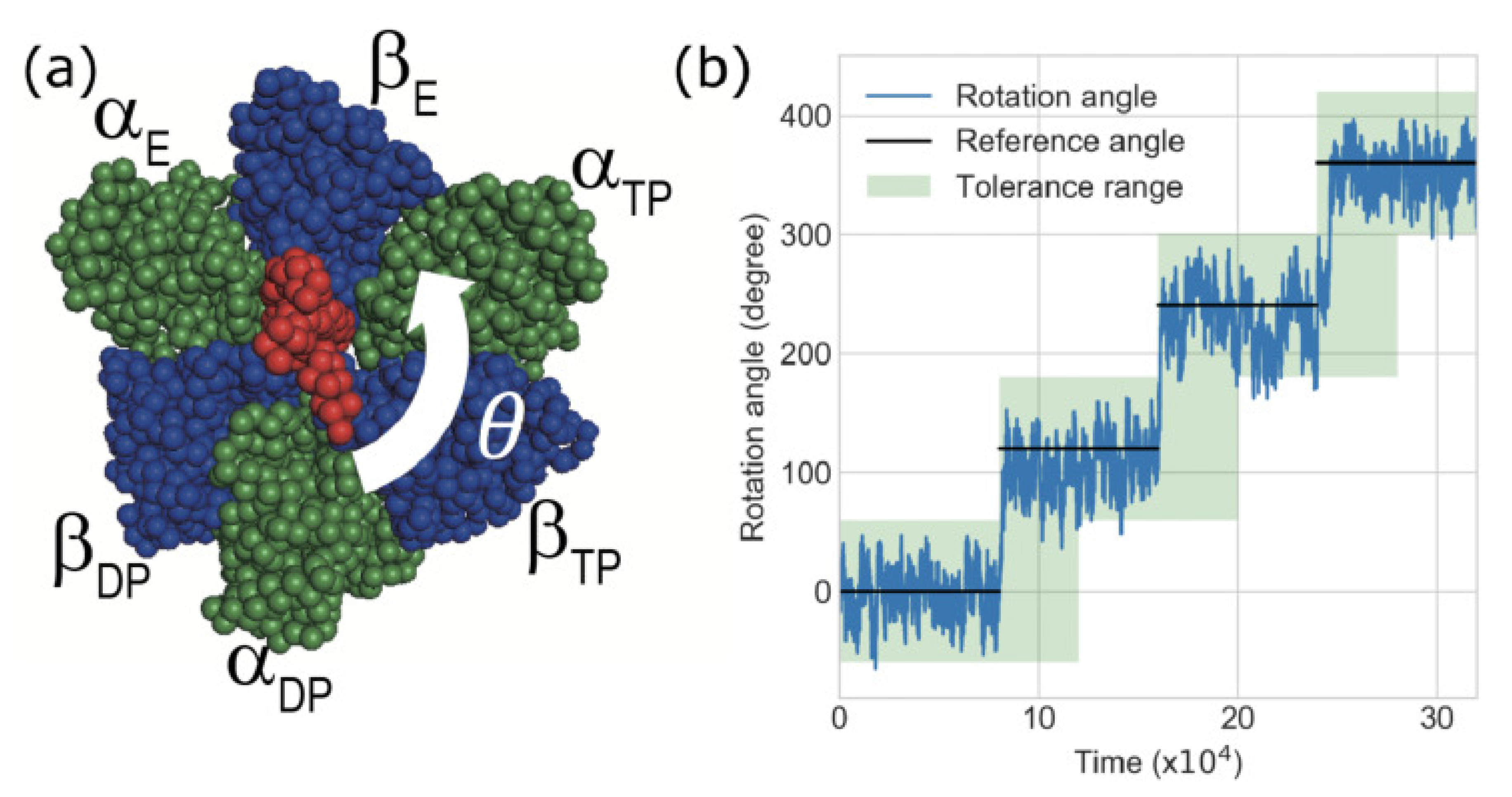 Biomolecules 10 00482 g002 Biomolecules 10 00482 g002