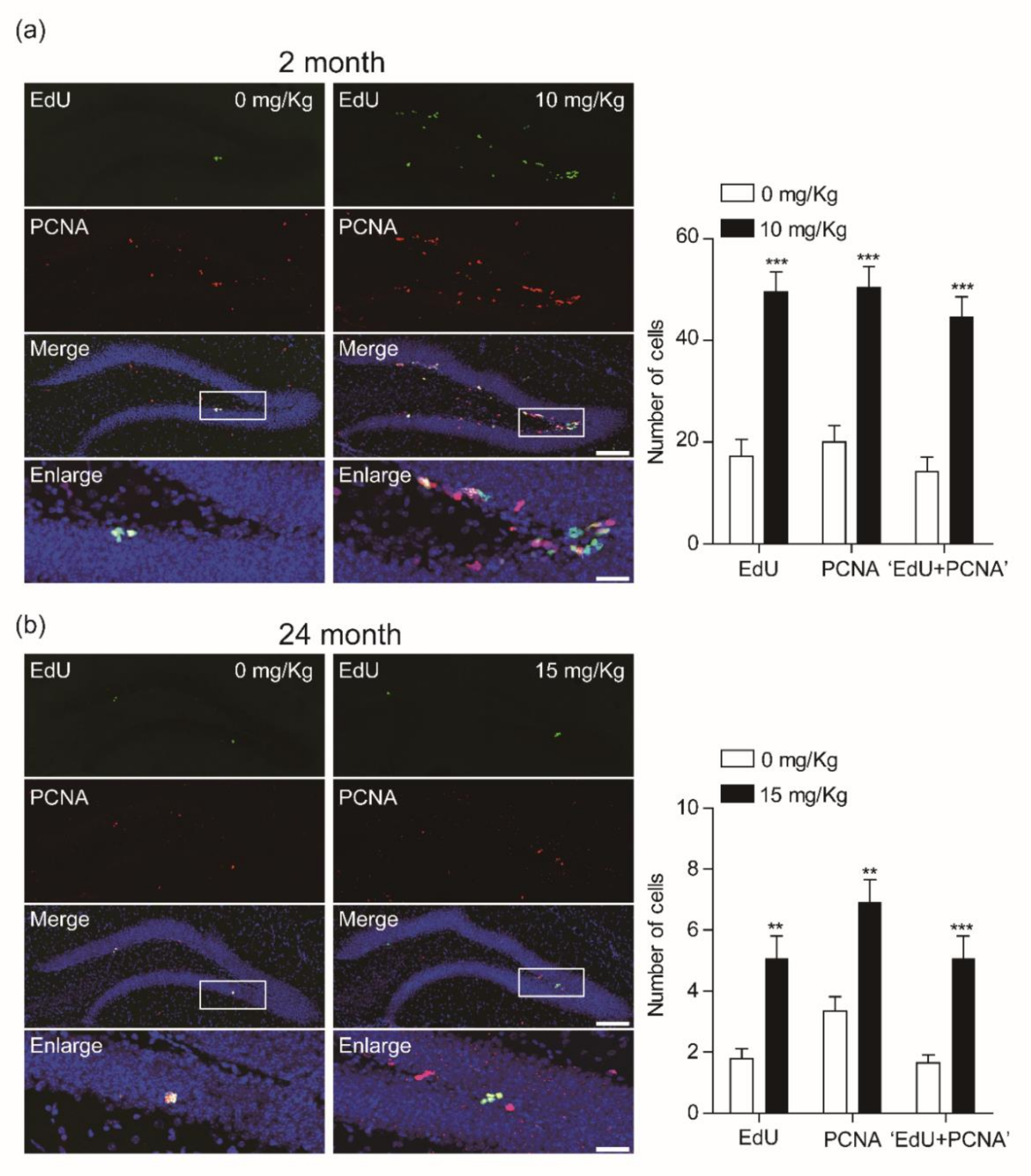 Biomolecules 10 00484 g003 Biomolecules 10 00484 g003