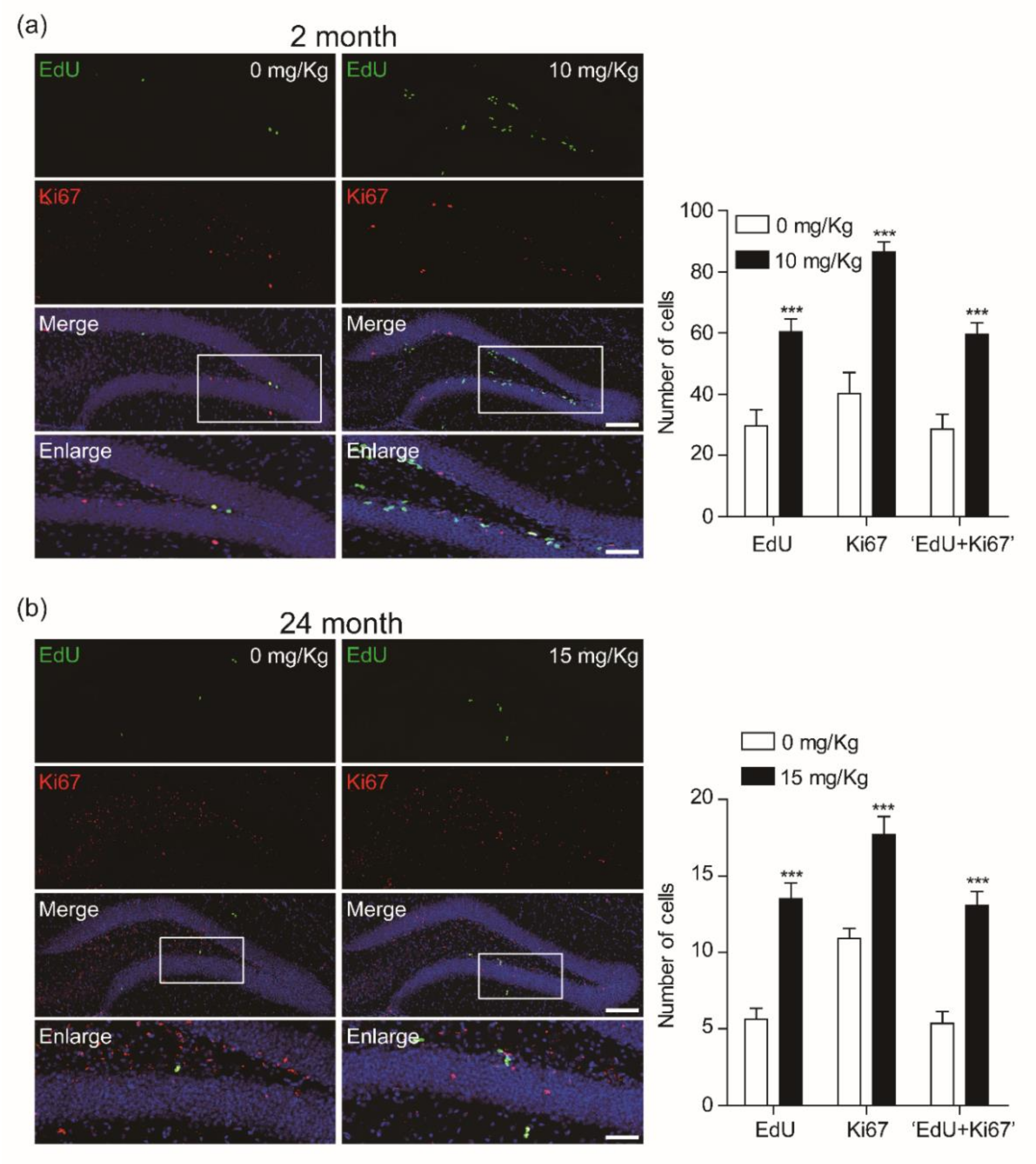 Biomolecules 10 00484 g004 Biomolecules 10 00484 g004