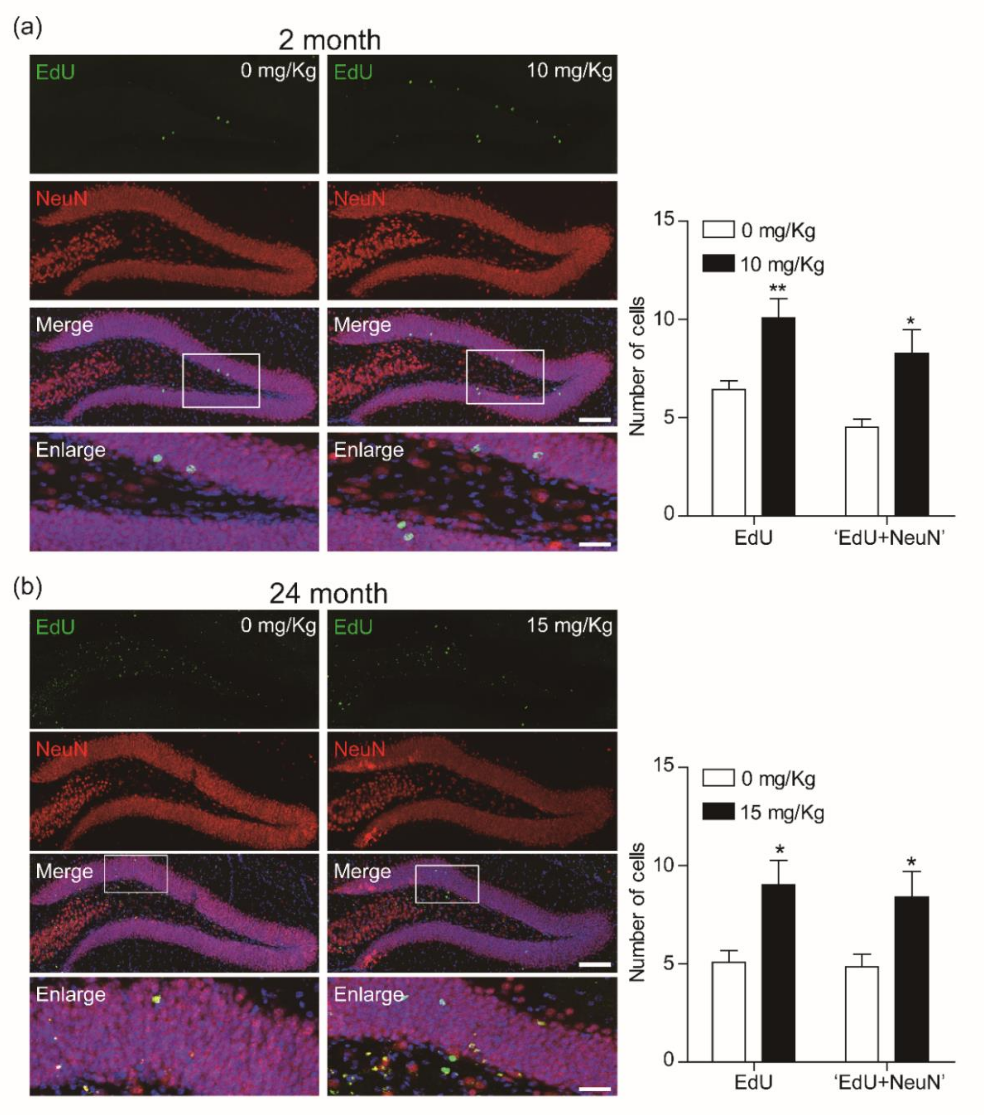 Biomolecules 10 00484 g005 Biomolecules 10 00484 g005