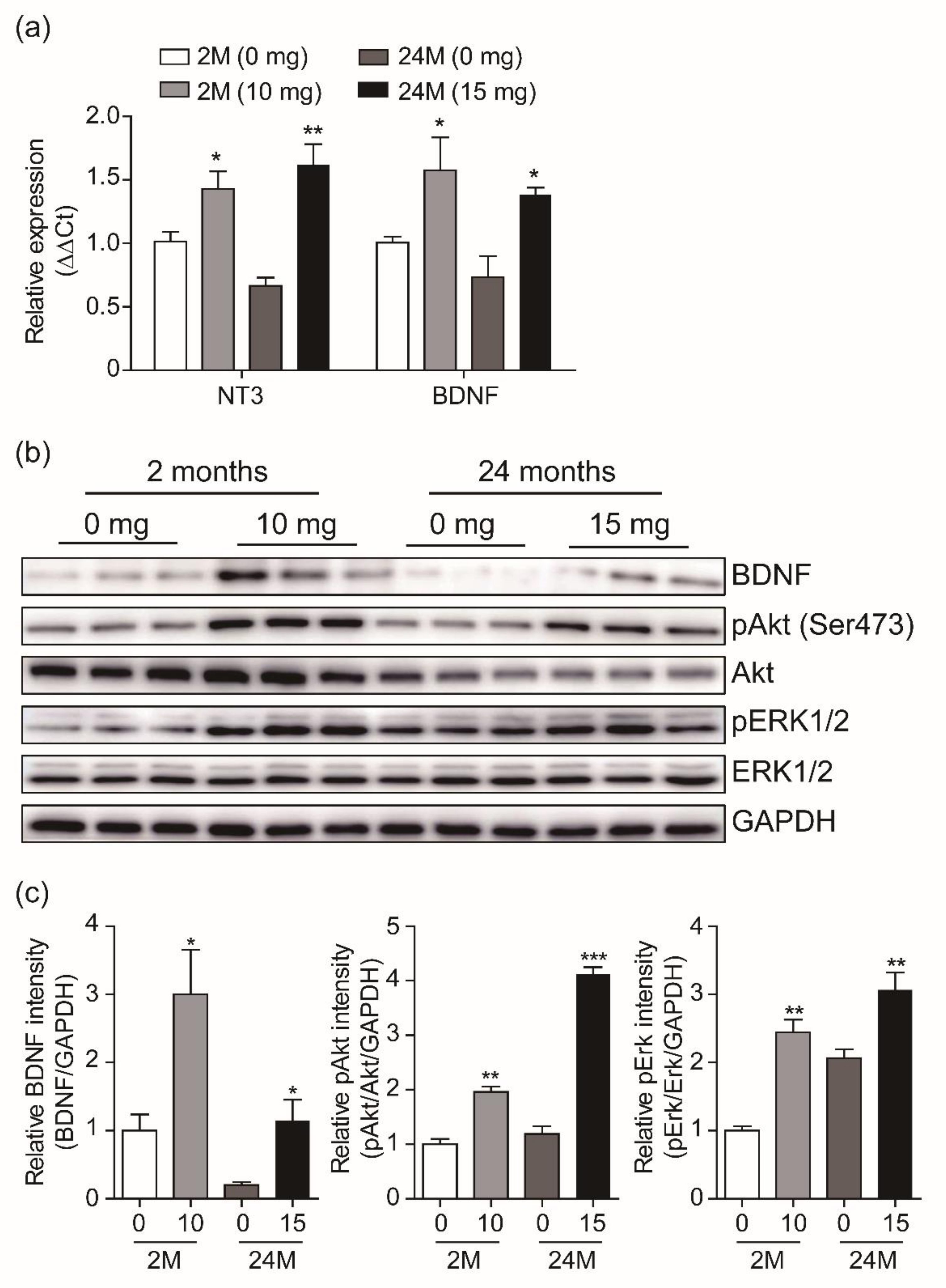 Biomolecules 10 00484 g006 Biomolecules 10 00484 g006