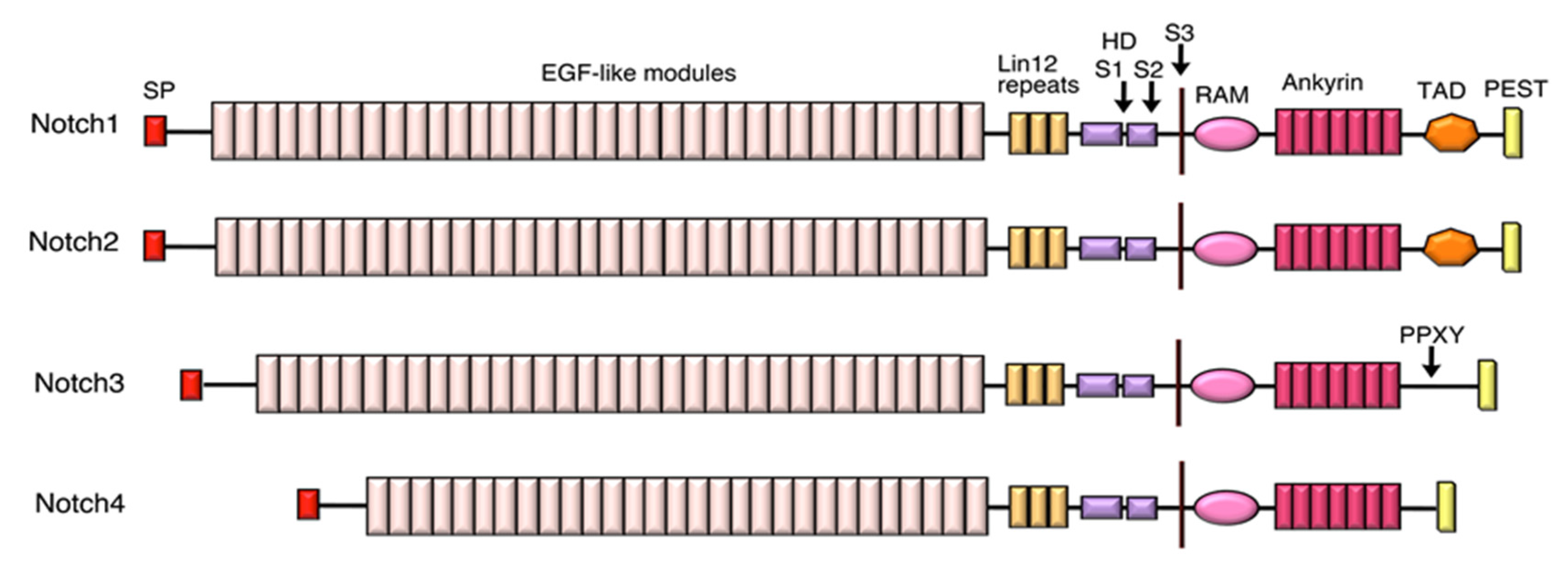 Biomolecules 10 00485 g001 Biomolecules 10 00485 g001