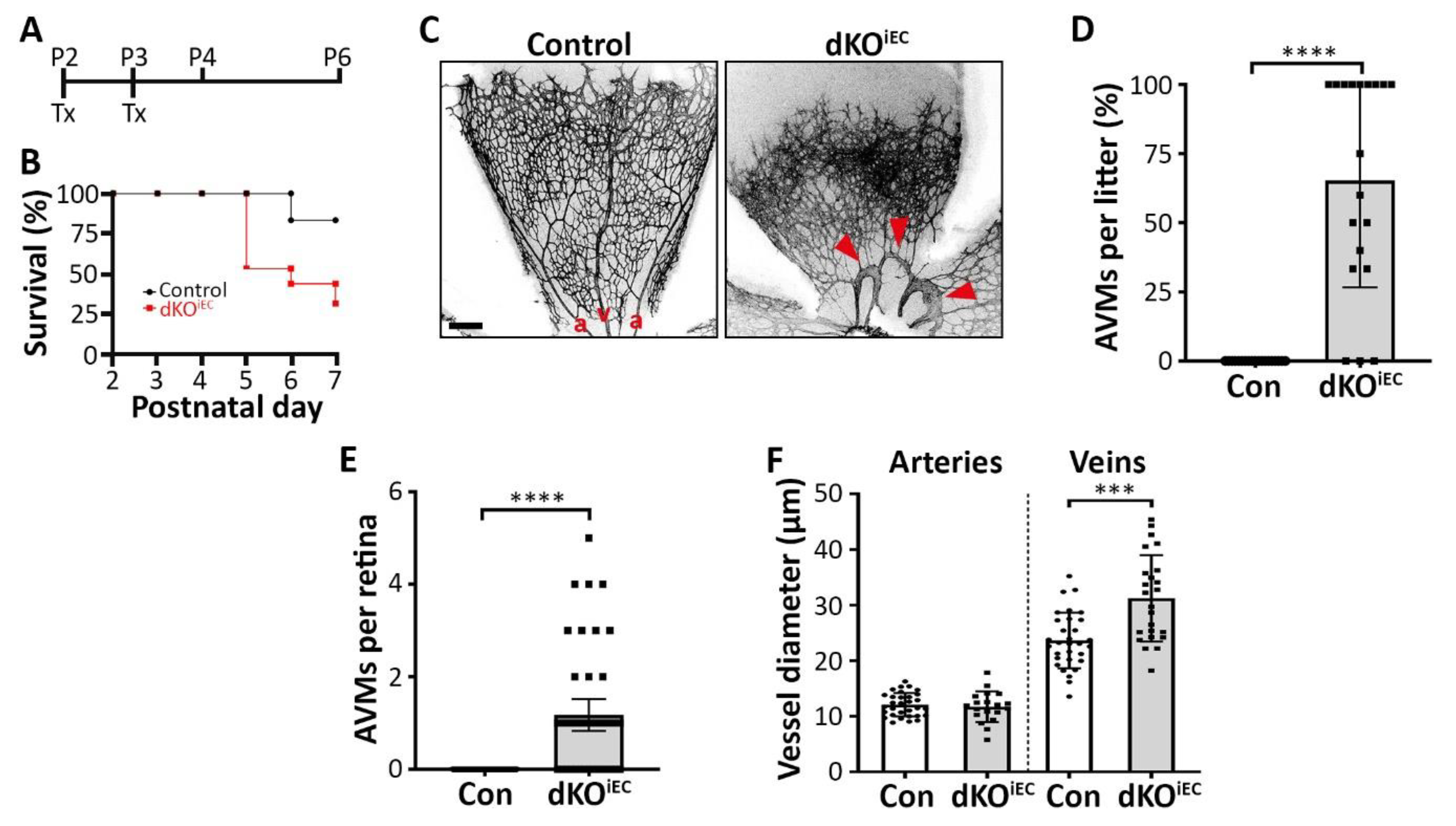 Biomolecules 10 00488 g001